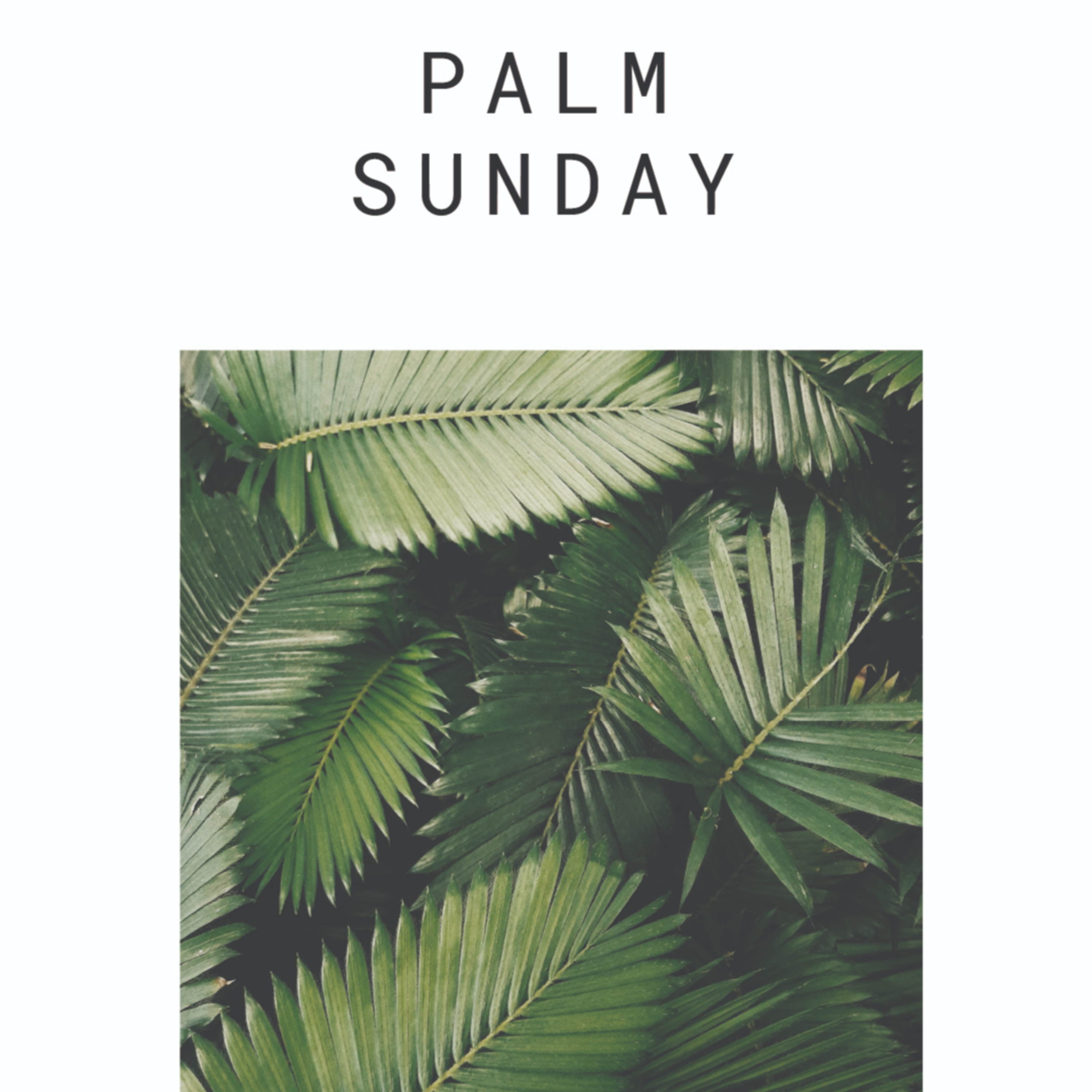 Palm Sunday 2022 episode artwork