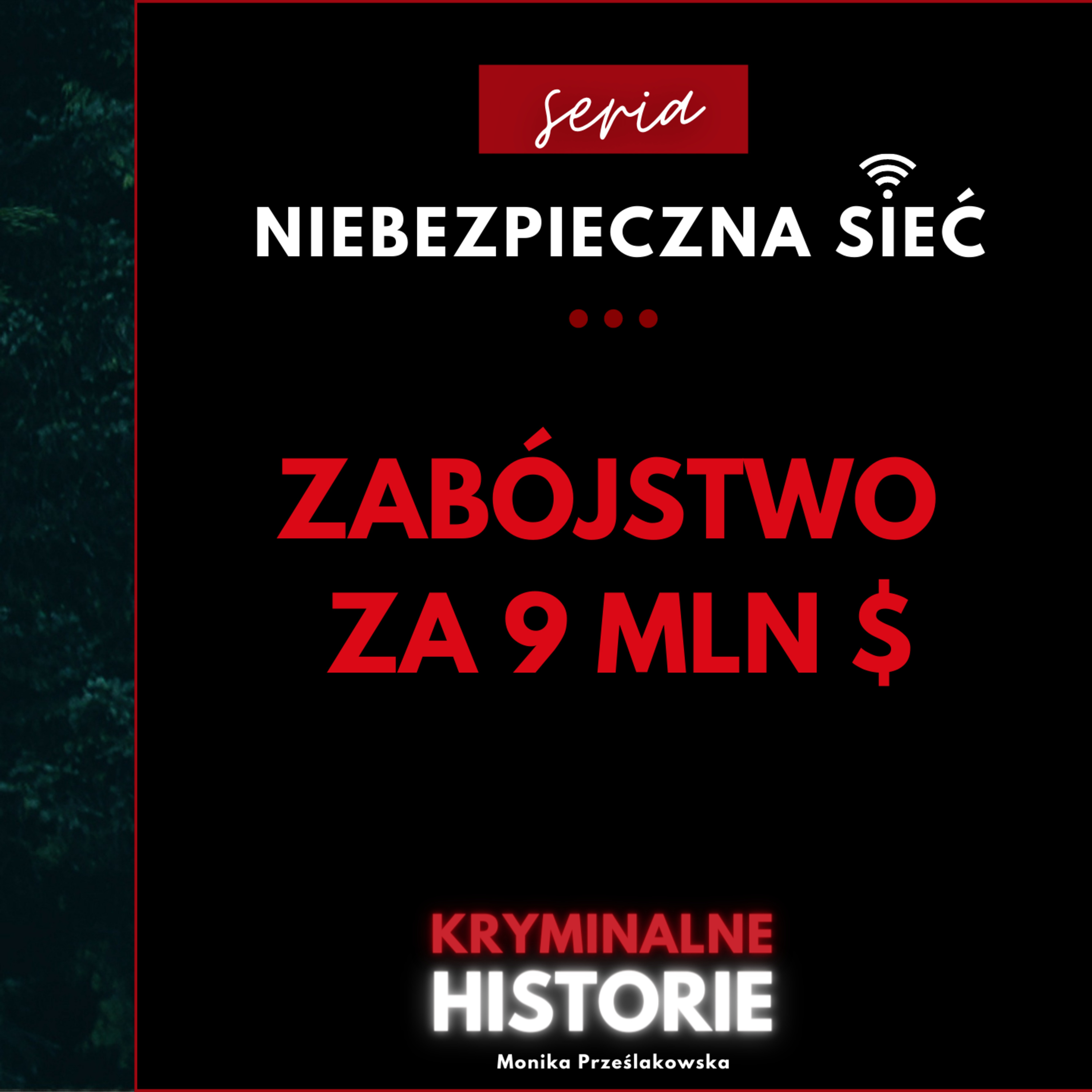 NIEBEZPIECZNA SIEĆ: ZABÓJSTWO ZA 9 MILIONÓW DOLARÓW. SPRAWA CYNTHII HOFFMAN #18