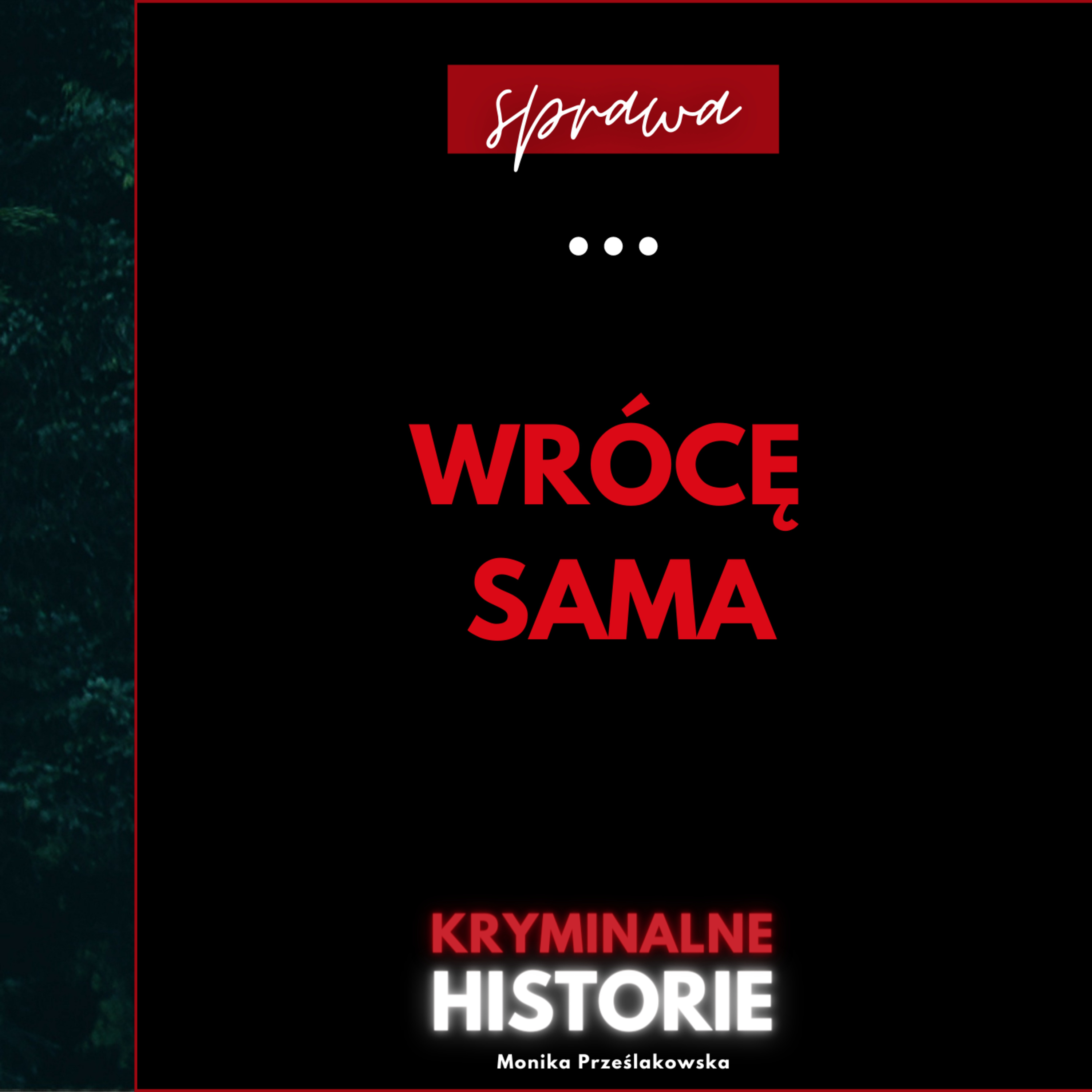 Kryminalne Historie