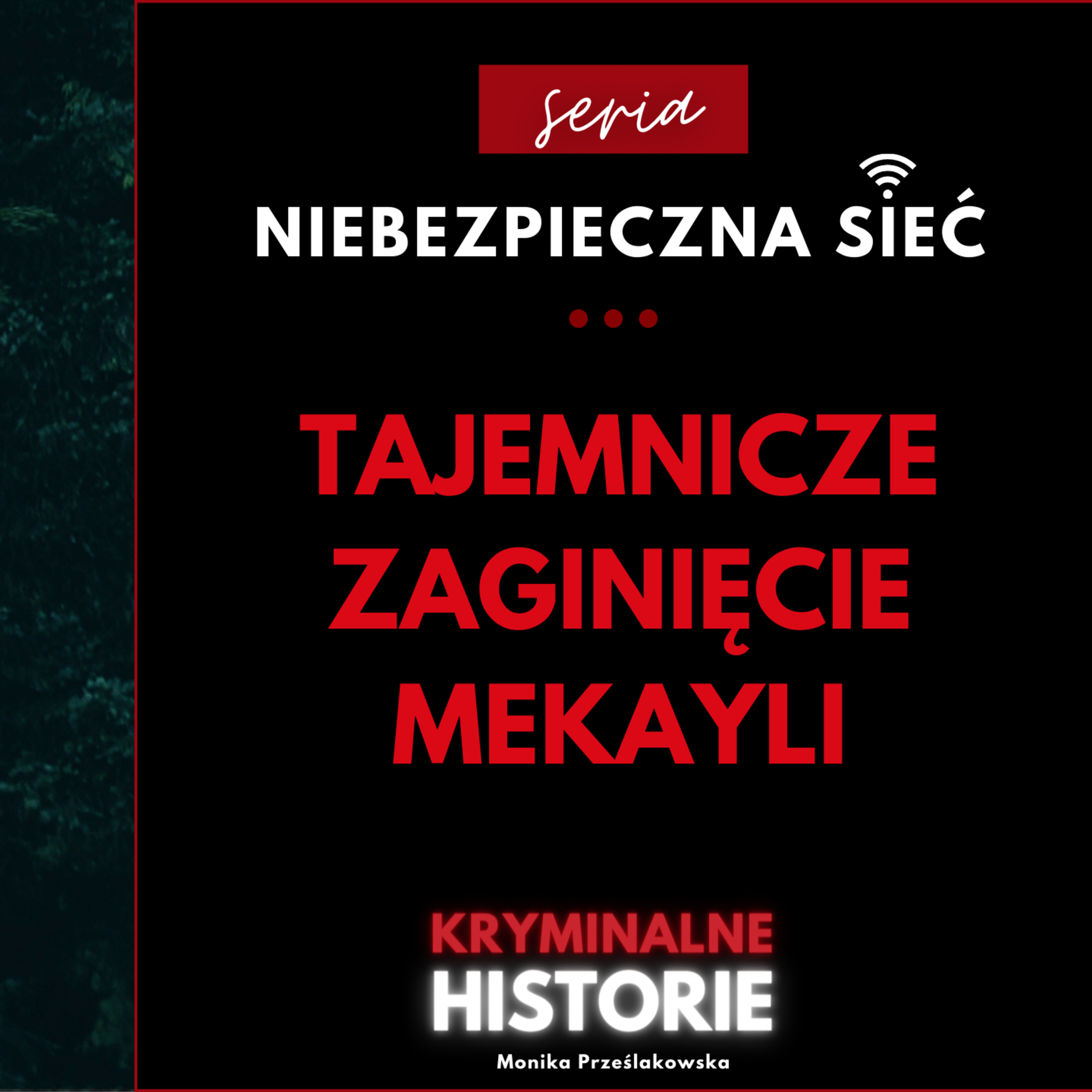 NIEBEZPIECZNA SIEĆ: ROZPŁYNĘŁA SIĘ W POWIETRZU. SPRAWA MEKAYLI BALI #21