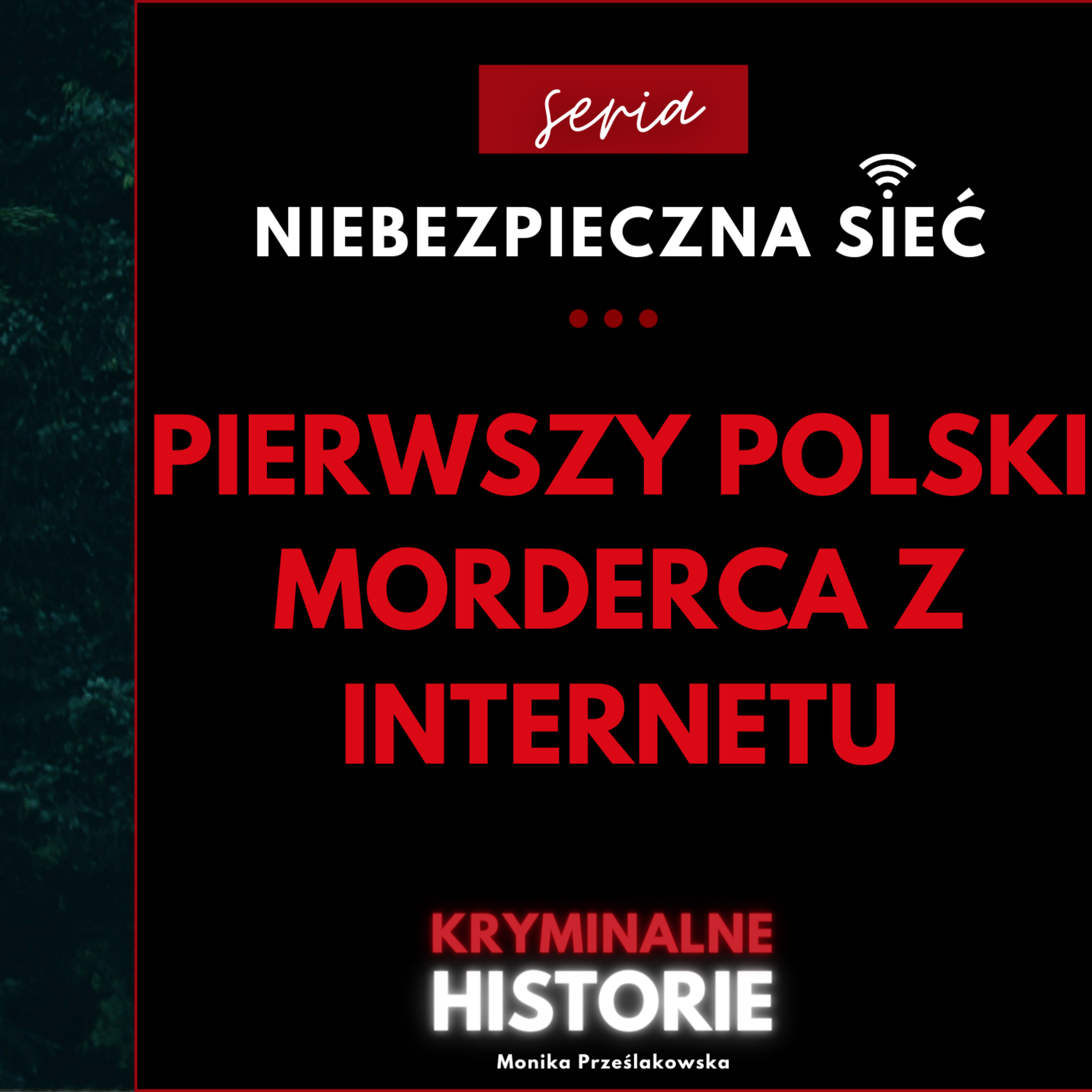 NIEBEZPIECZNA SIEĆ: CZEŚĆ, JESTEM DAREK I CHĘTNIE CIĘ POZNAM #23