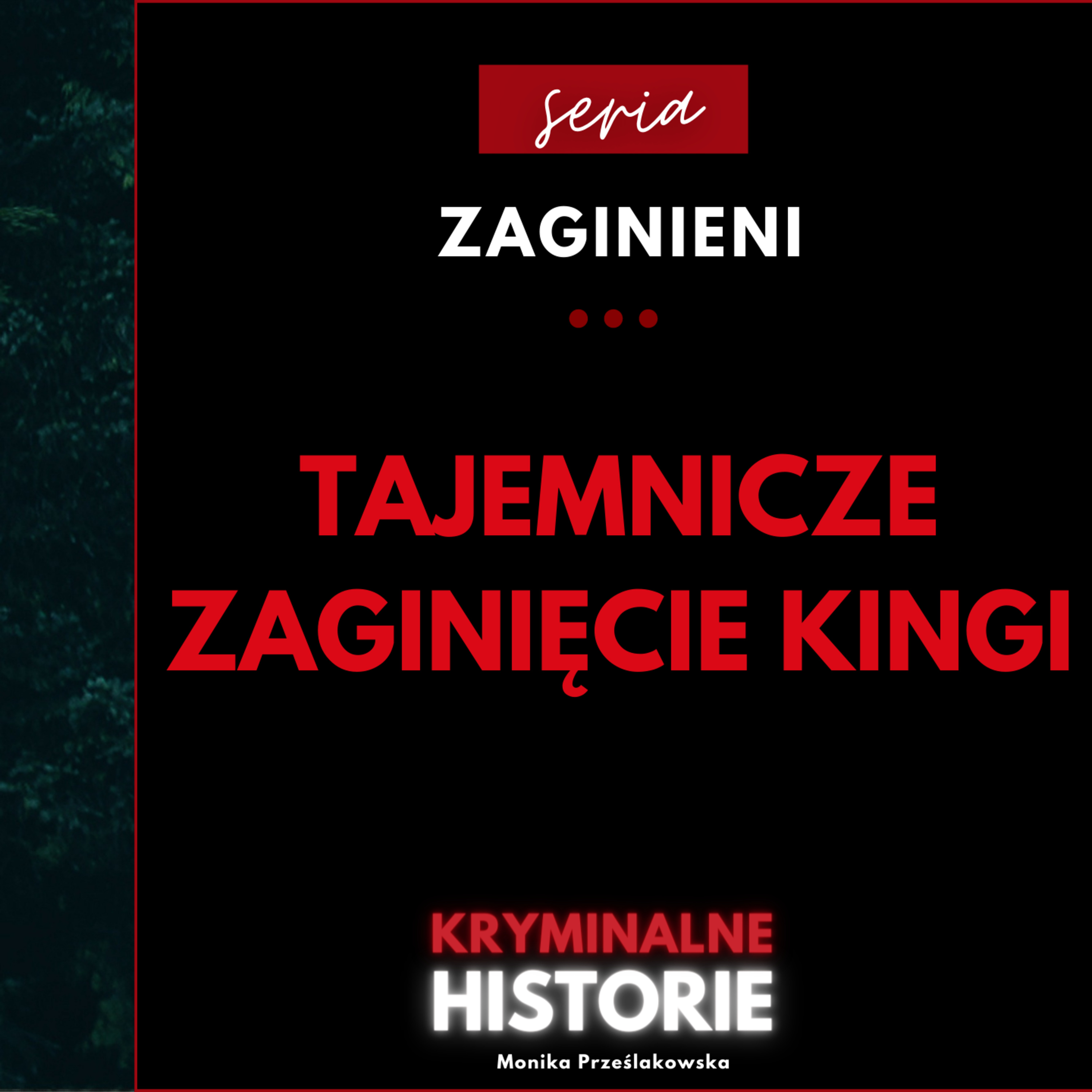 KINGA ZAGINĘŁA Z DOMU, A Z NIĄ JEJ DWA PSY | ZAGINIENI #8