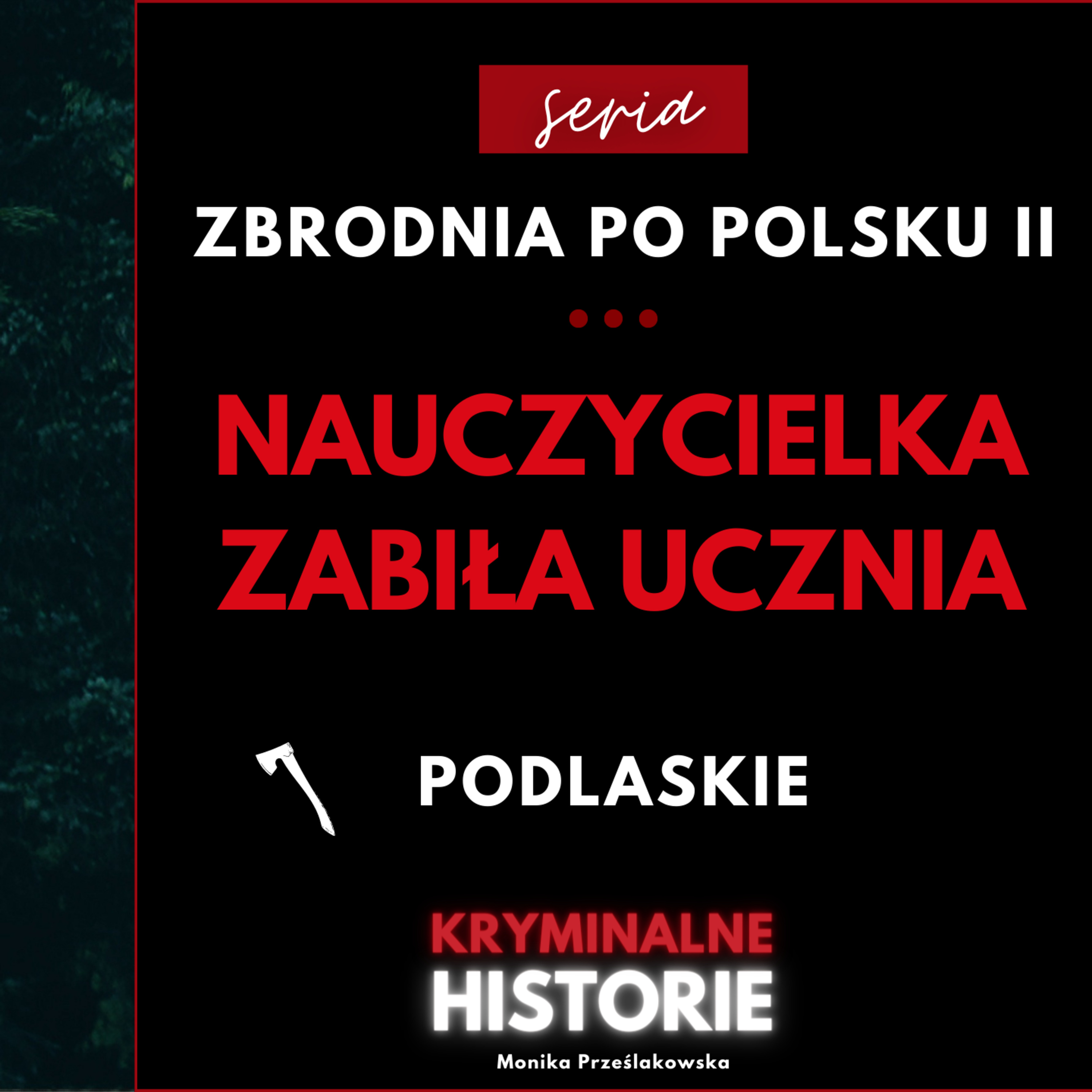 ZROBIŁEŚ ZE MNIE ZWIERZĘ | ZBRODNIA PO POLSKU II #3