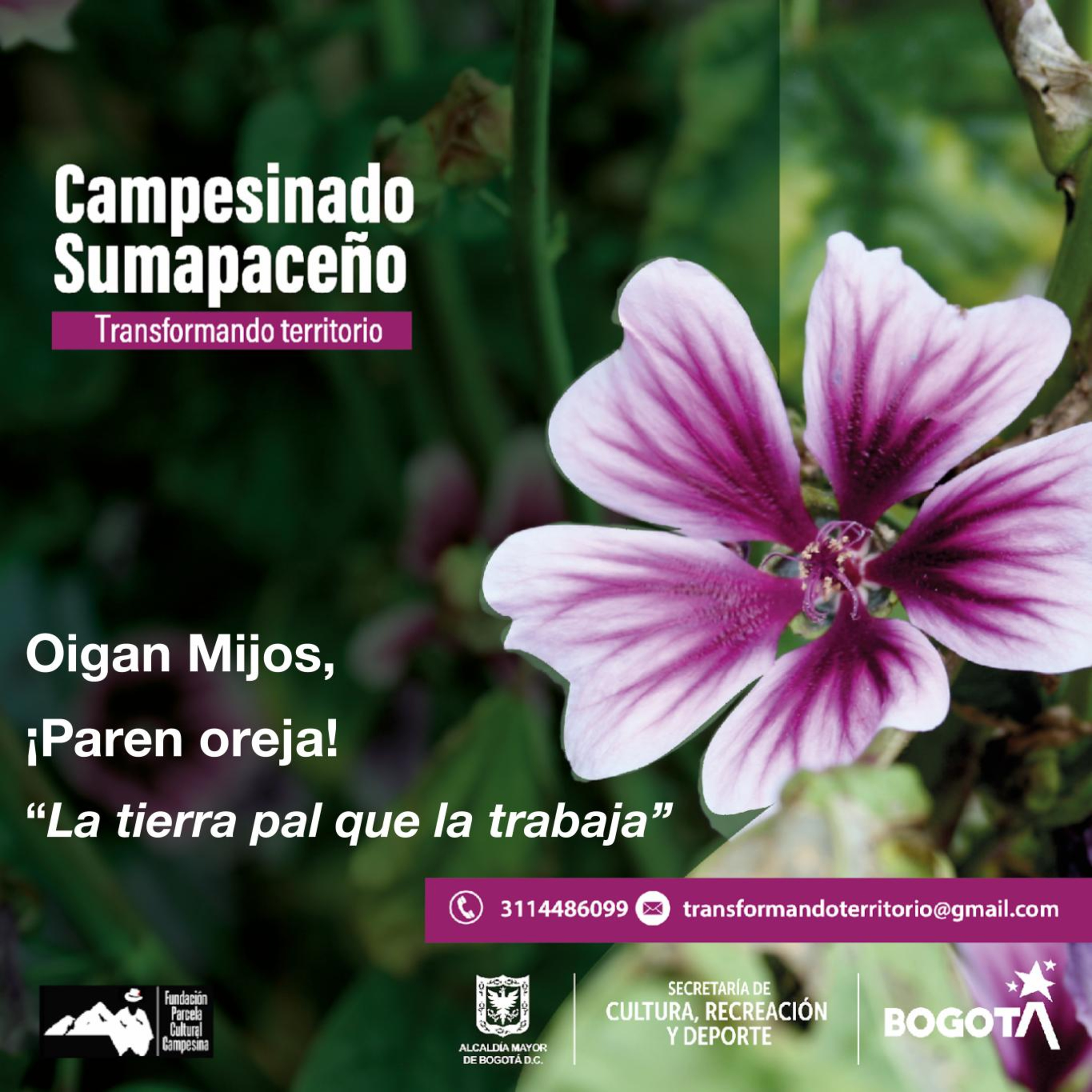 Campesinado Sumapaceño Transformando Territorio