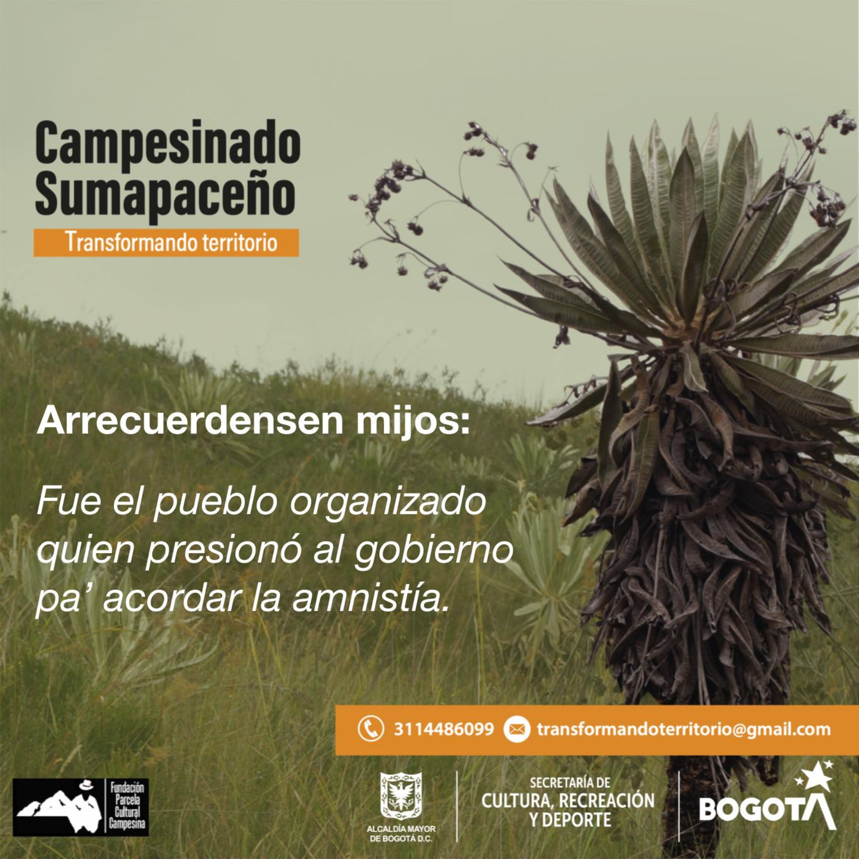 Campesinado Sumapaceño Transformando Territorio