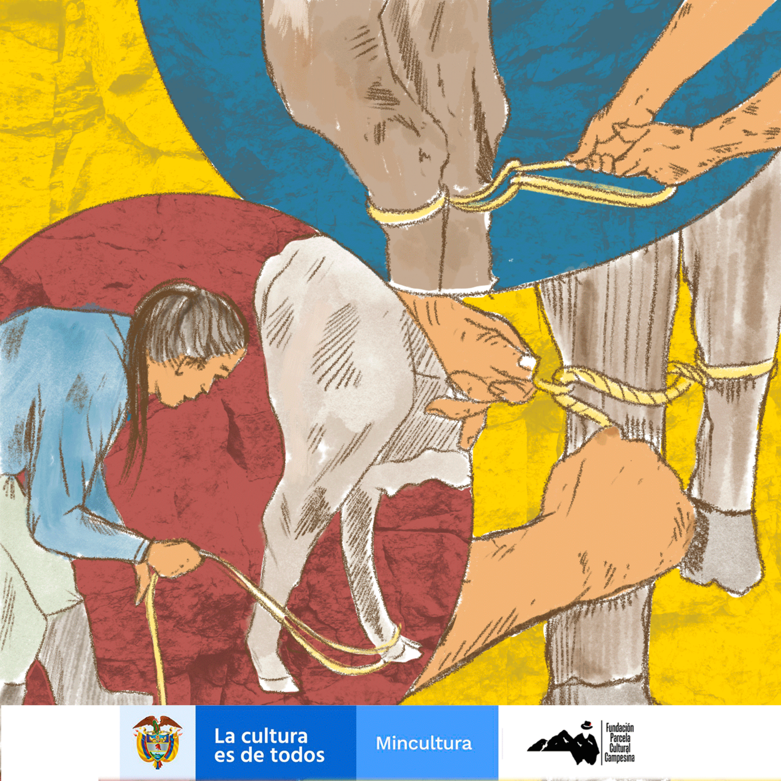 Campesinado Sumapaceño Transformando Territorio