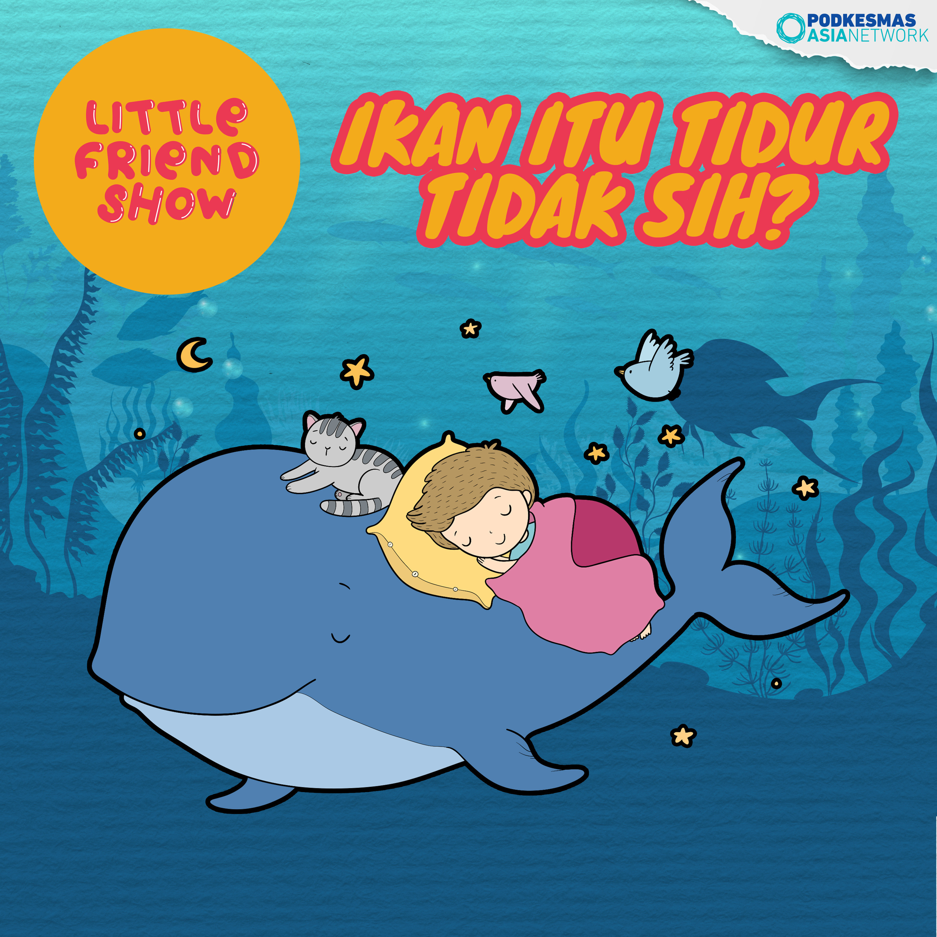 Little Friend Show