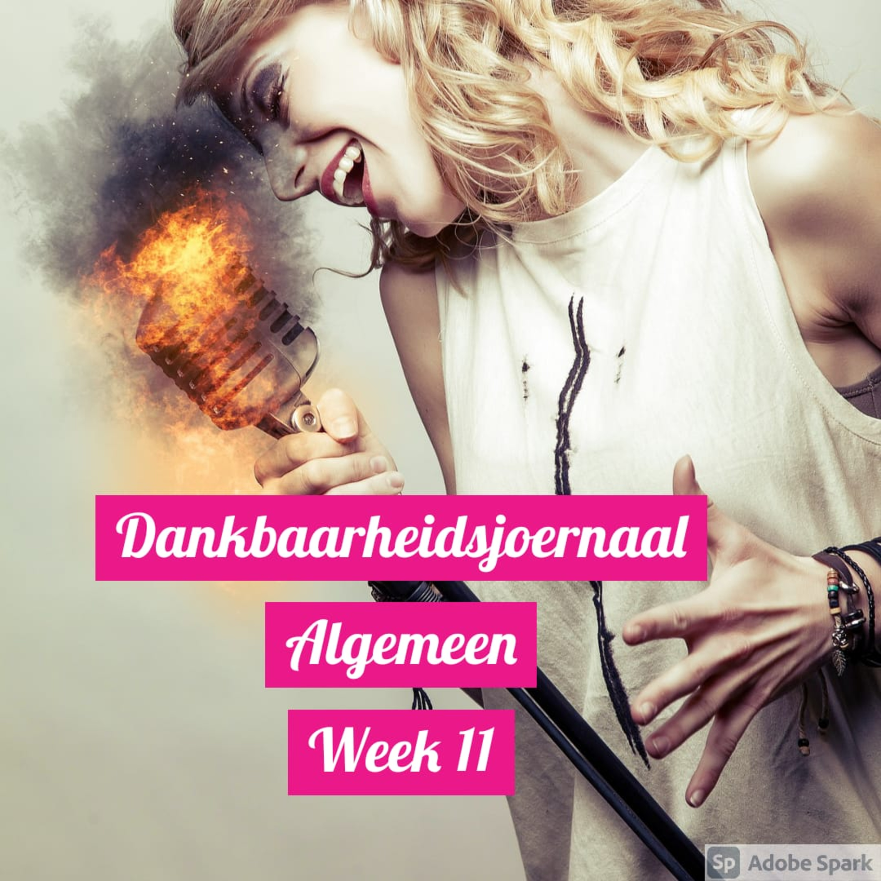 Dankbaarheidsjoernaal Algemeen Week 11 episode artwork
