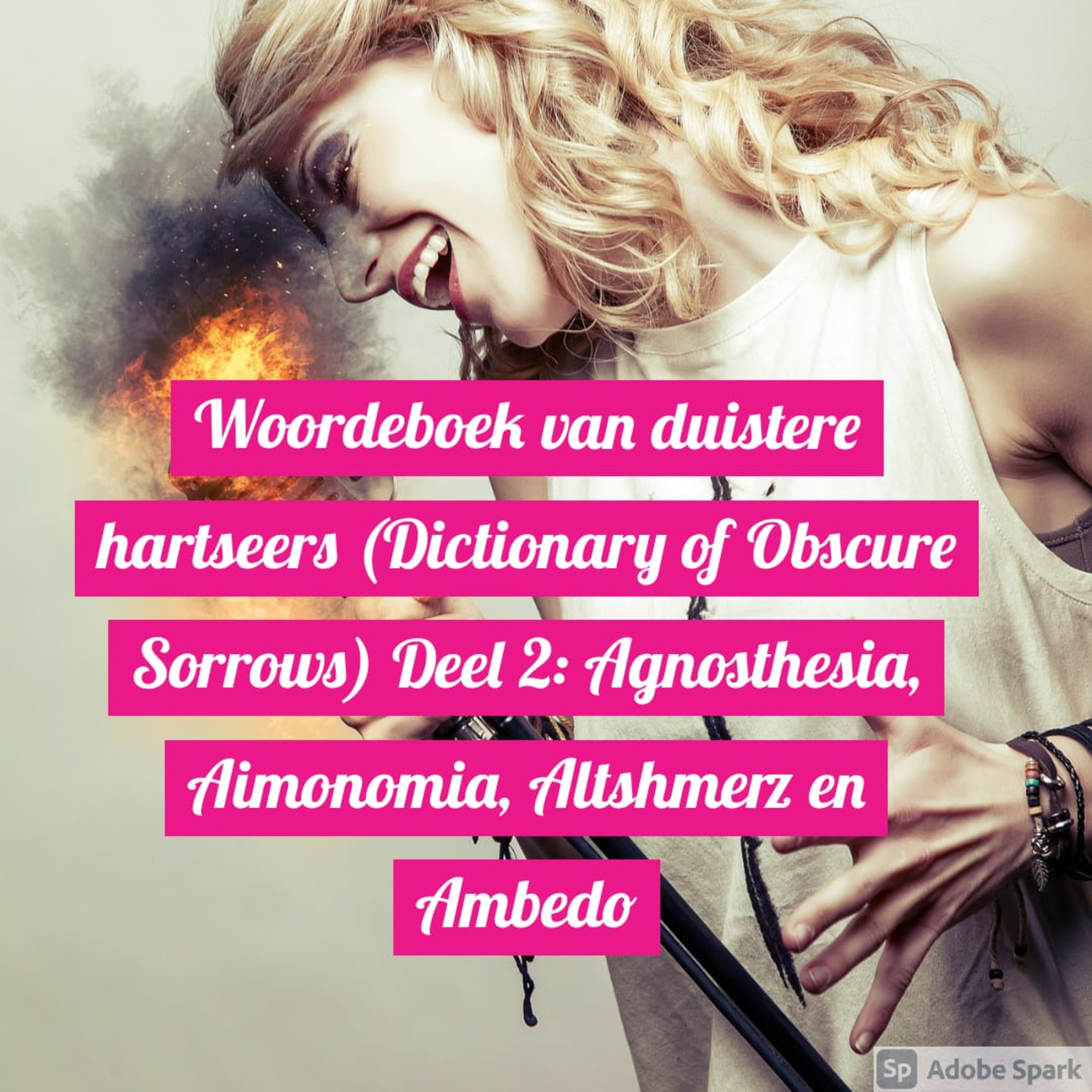 Woordeboek van duistere hartseers (Dictionary of Obscure Sorrows) Deel 2: Agnosthesia, Aimonomia, Altshmerz en Ambedo episode artwork