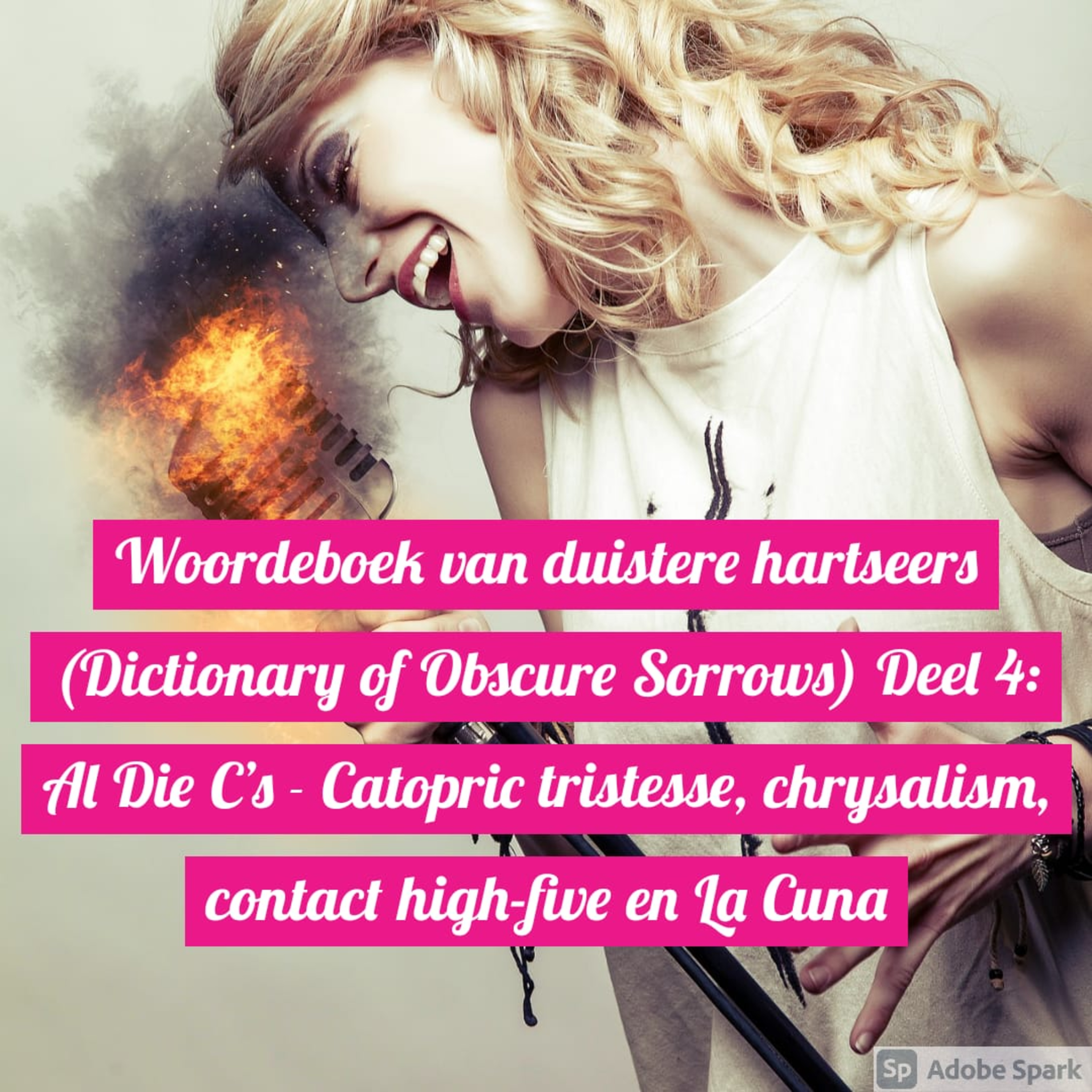 Woordeboek van duistere hartseers (Dictionary of Obscure Sorrows) Deel 4: Al Die C's - Catopric tristesse, chrysalism, contact high-five en La Cuna episode artwork