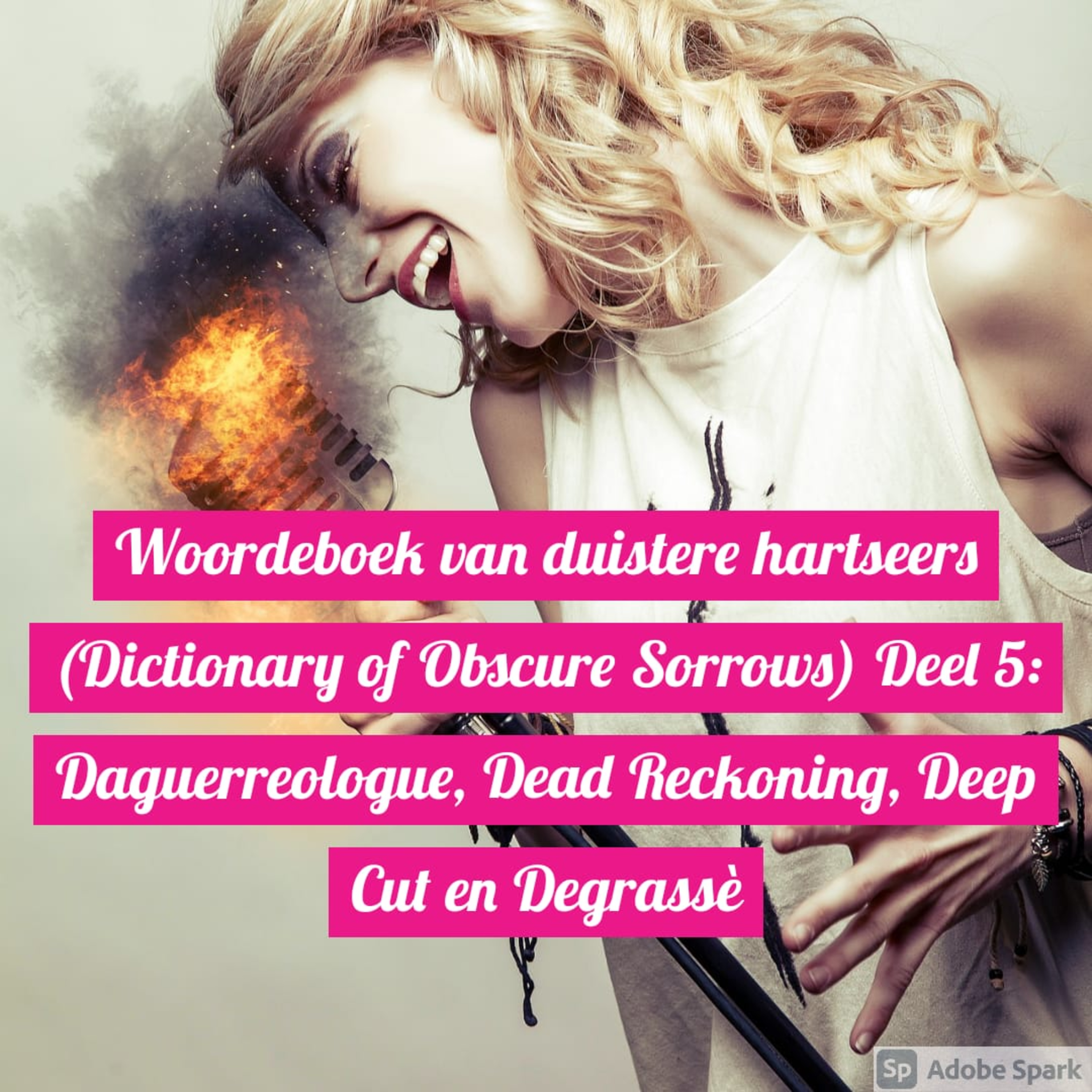 Woordeboek van duistere hartseers (Dictionary of Obscure Sorrows) Deel 5: Daguerreologue, Dead Reckoning, Deep Cut en Degrassè episode artwork