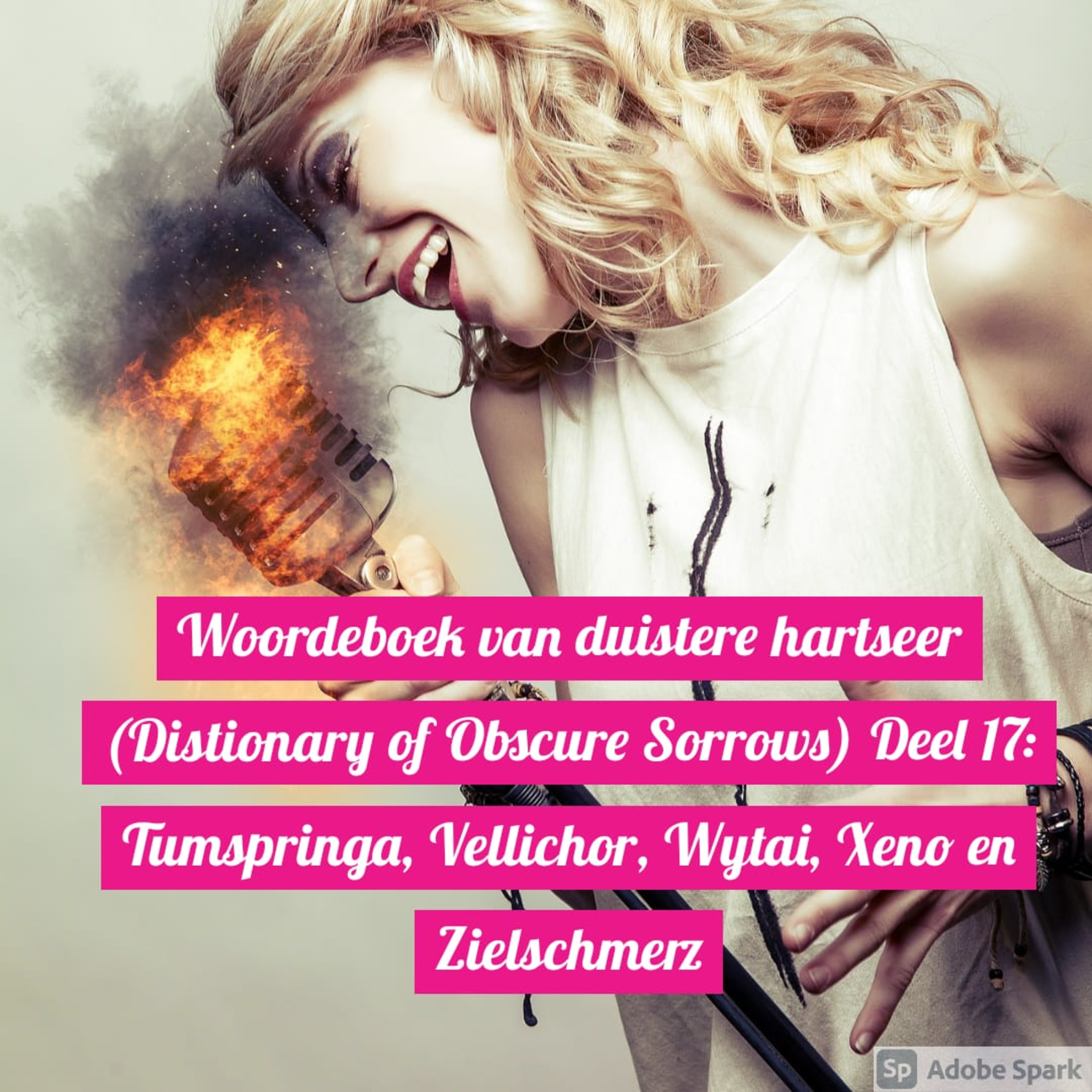 Woordeboek van duistere hartseer (Distionary of Obscure Sorrows) Deel 17: Tumspringa, Vellichor, Wytai, Xeno en Zielschmerz episode artwork