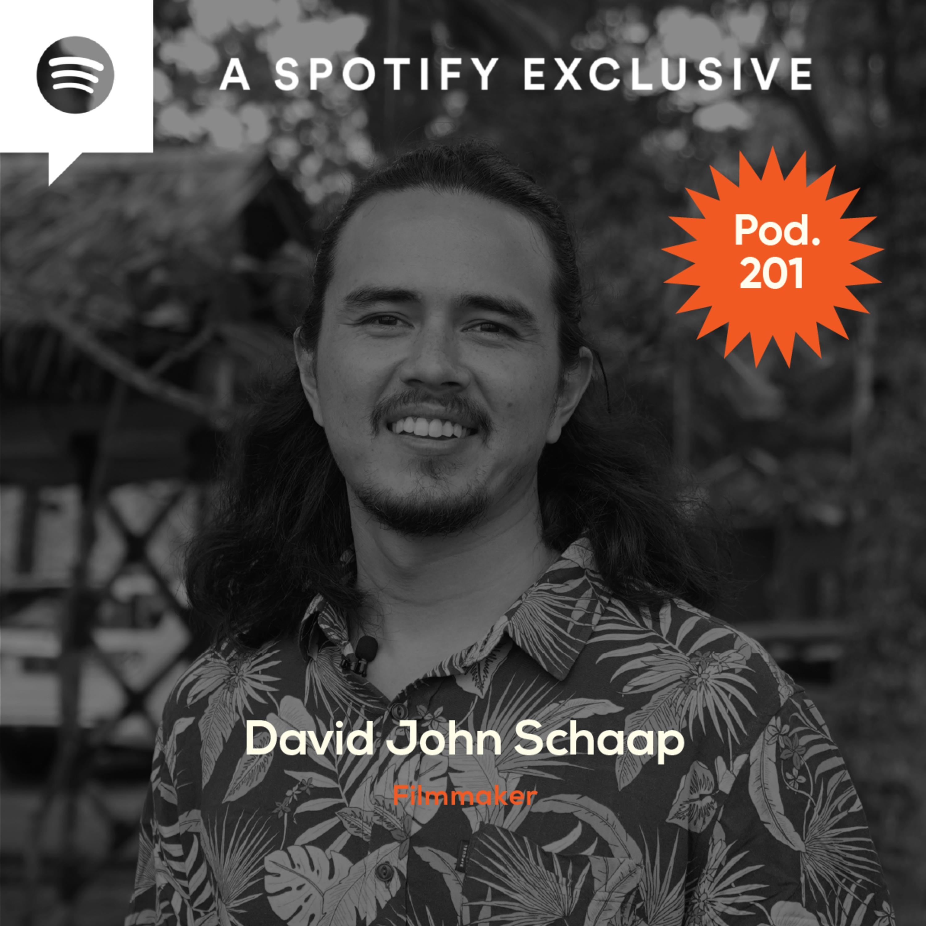 Pod.201 David John Schaap TALKS ABOUT SURVIVING A TSUNAMI episode artwork