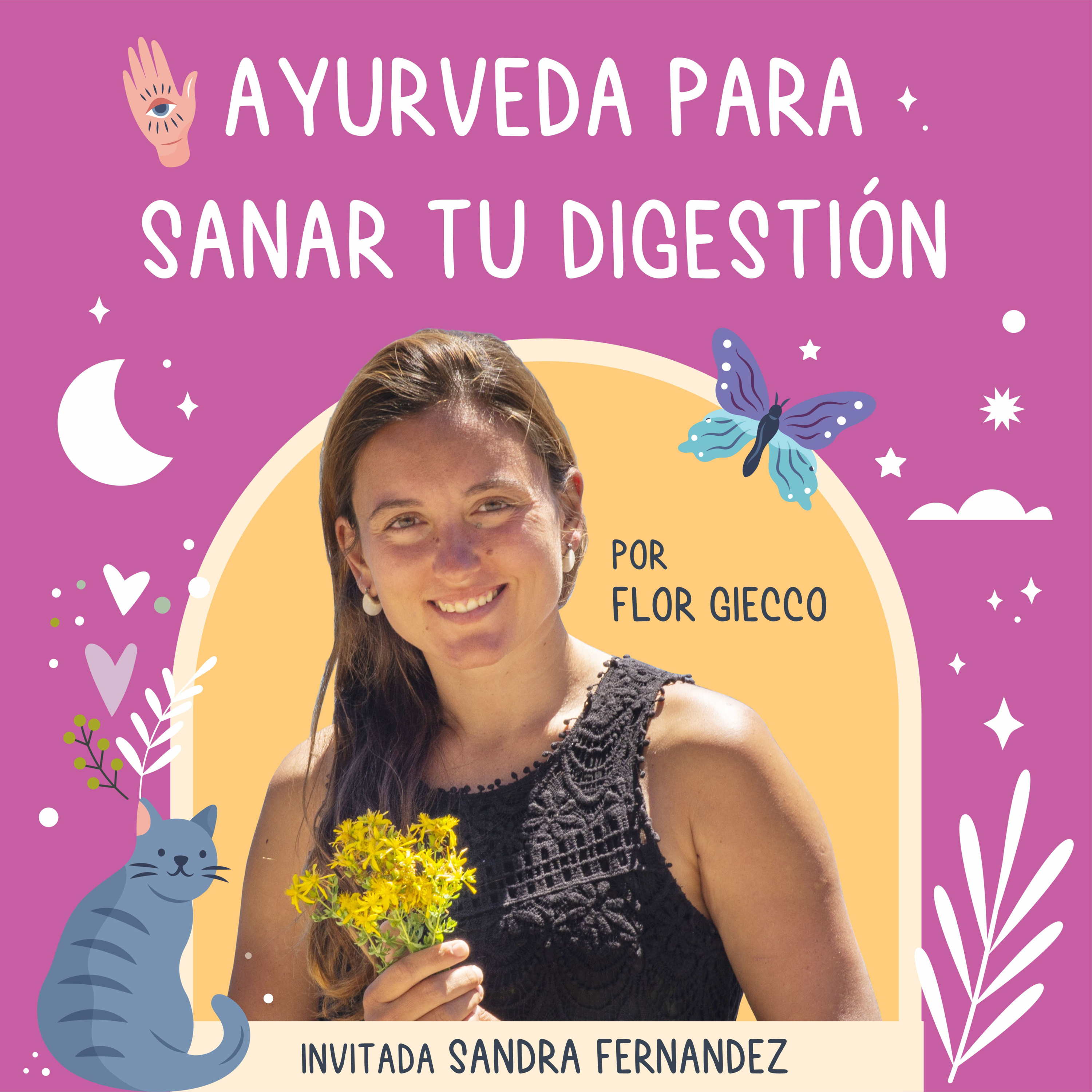 Portada de Medicina de Brujas