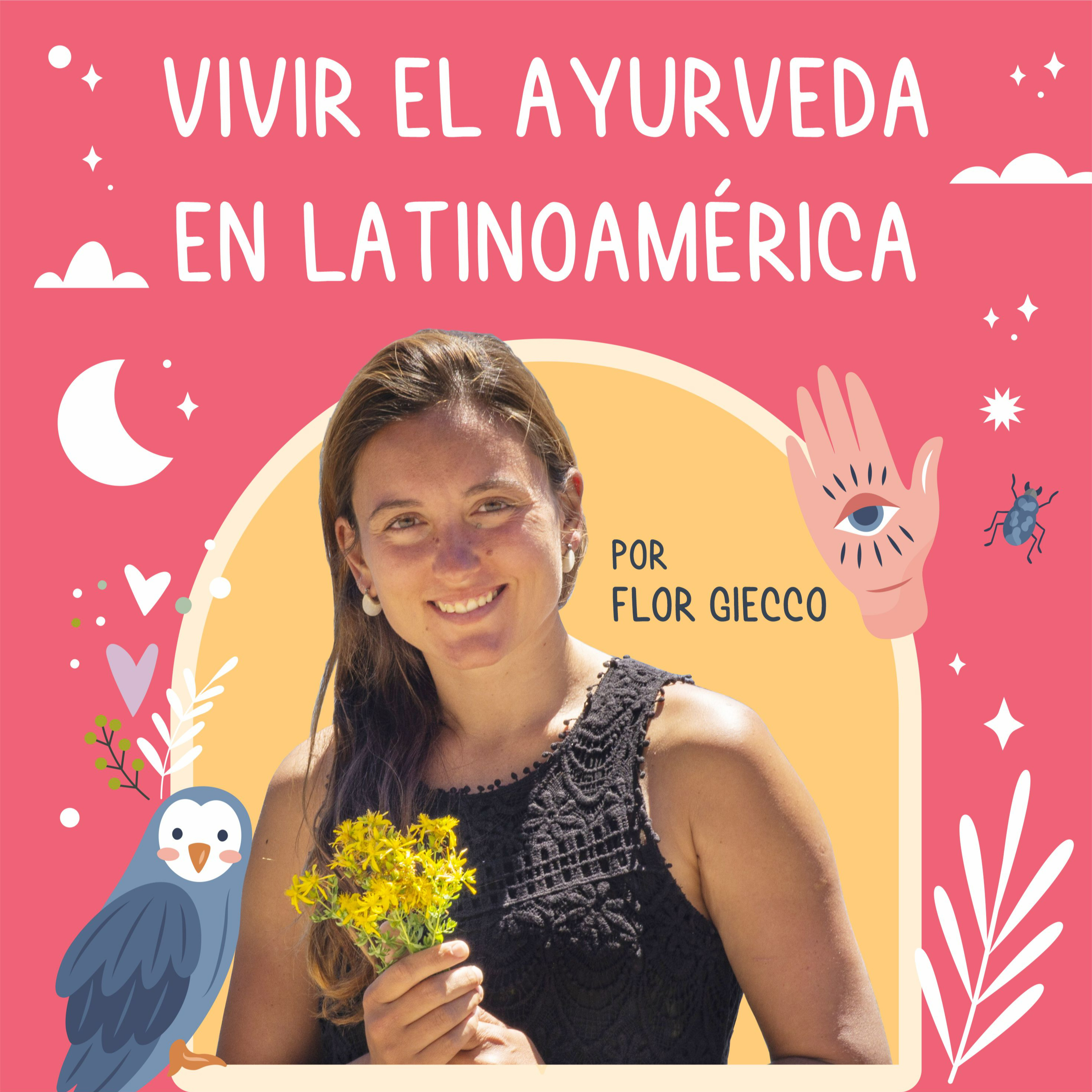 Portada de Medicina de Brujas