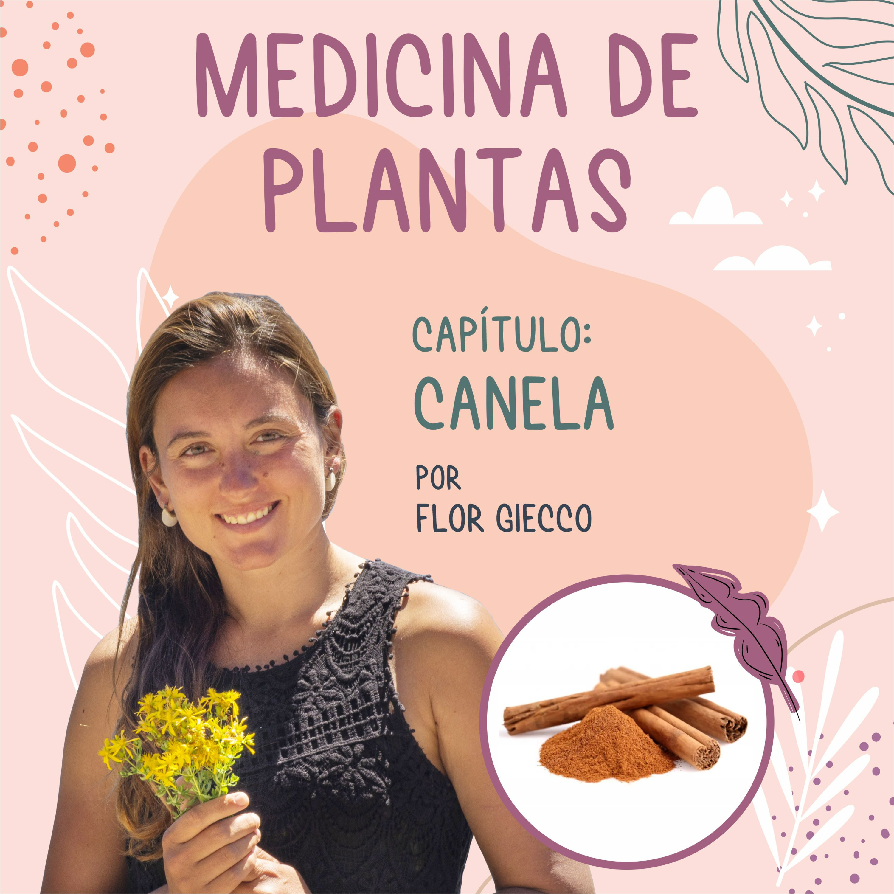 Portada de Medicina de Brujas