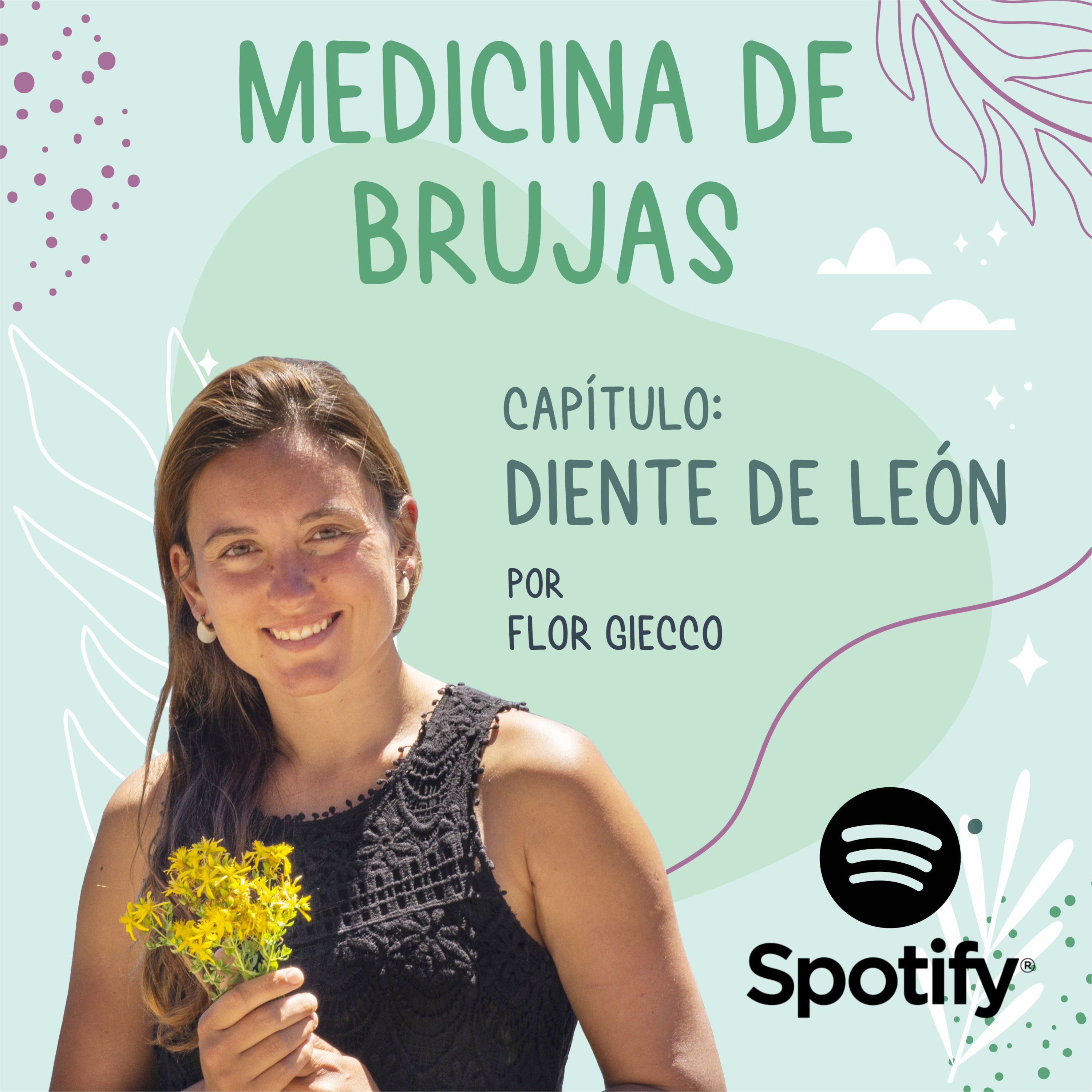 Portada de Medicina de Brujas