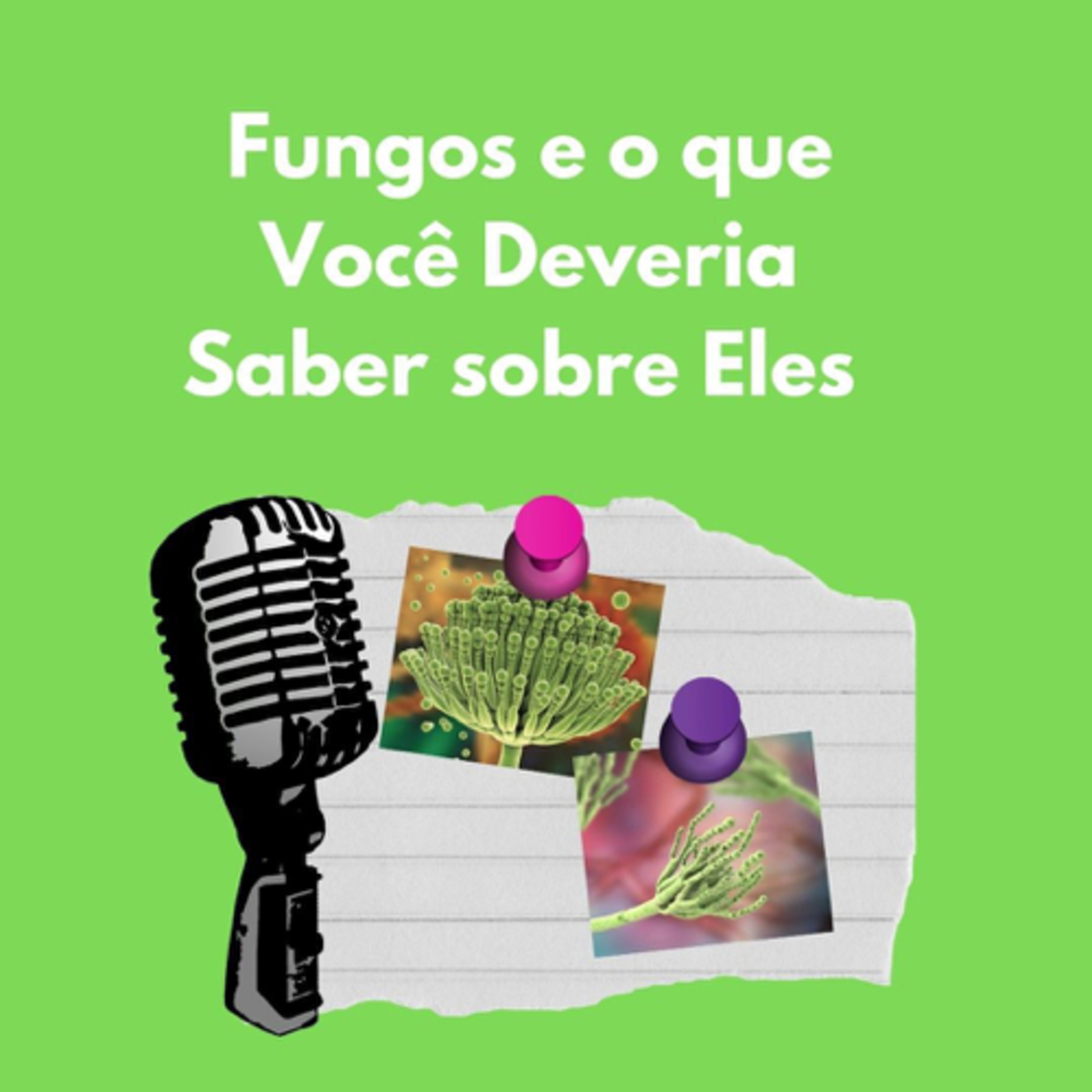 Fungos e o que você deveria saber sobre eles