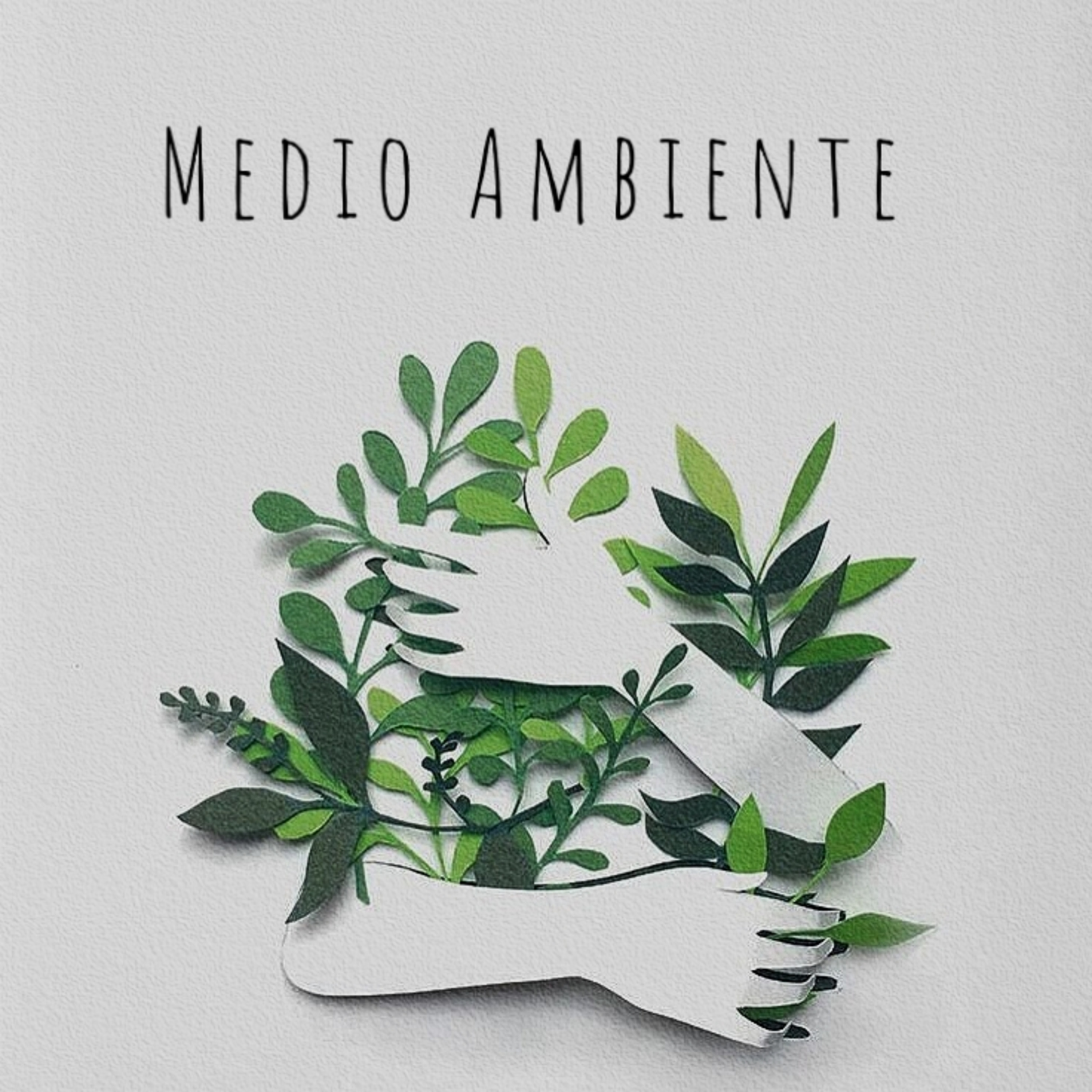 Medio Ambiente episode artwork