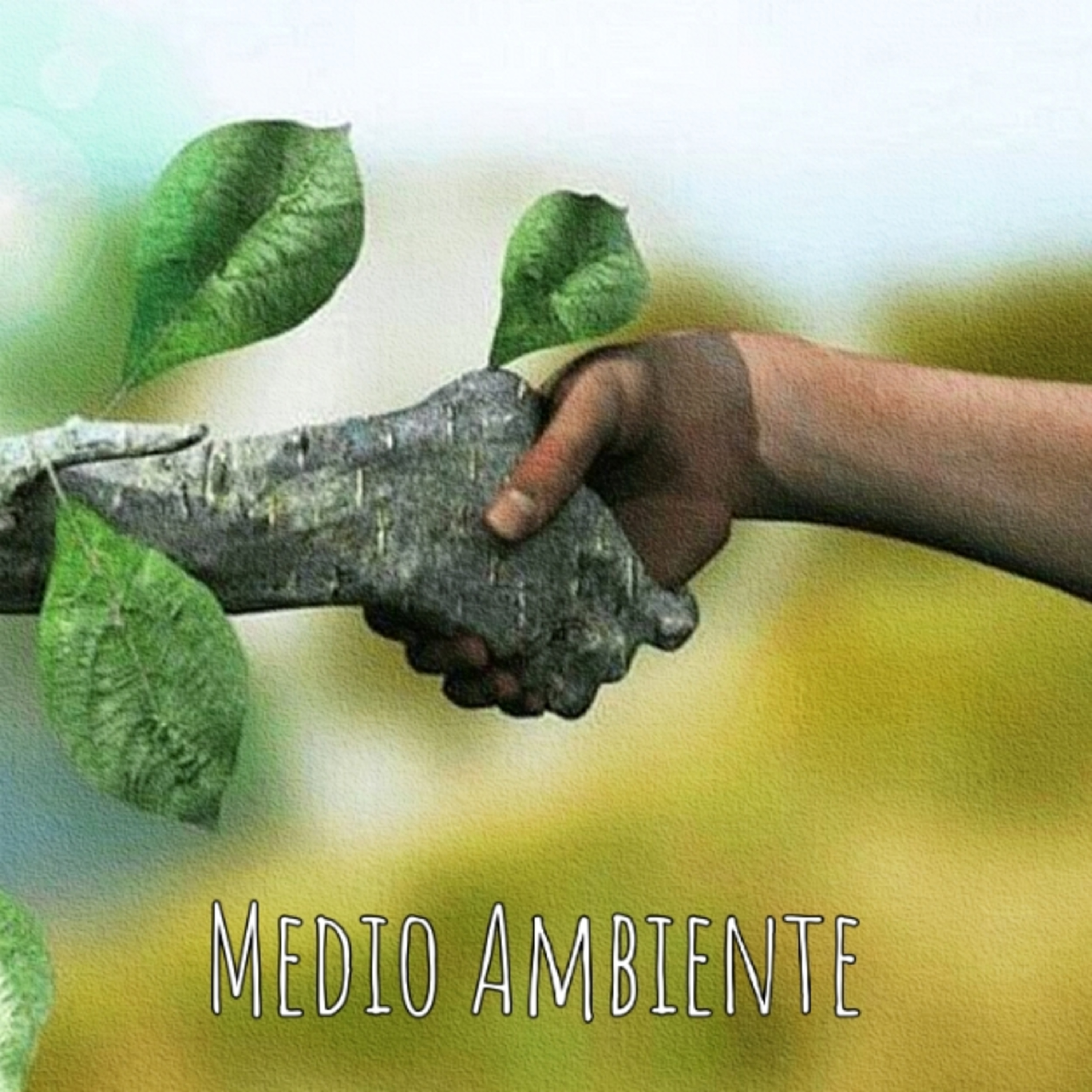 Proyecto de extensión  episode artwork