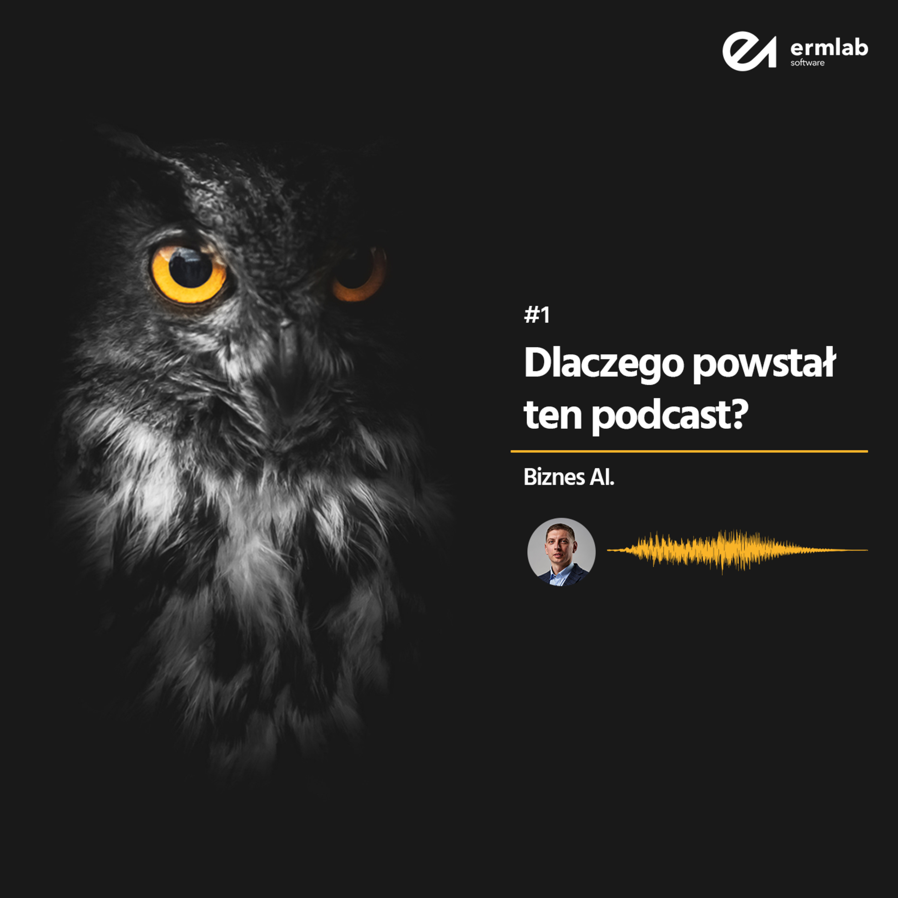 Biznes AI 001: Dlaczego powstał ten podcast? episode artwork