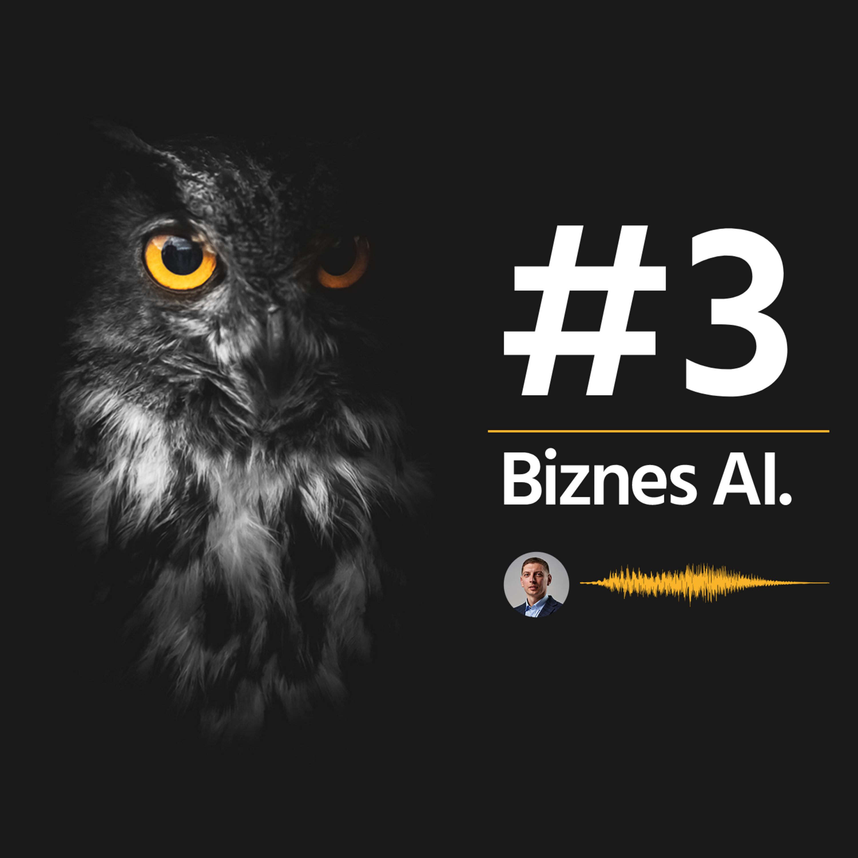 Biznes AI 003: Jak zbudować zespół do projektu ml? episode artwork