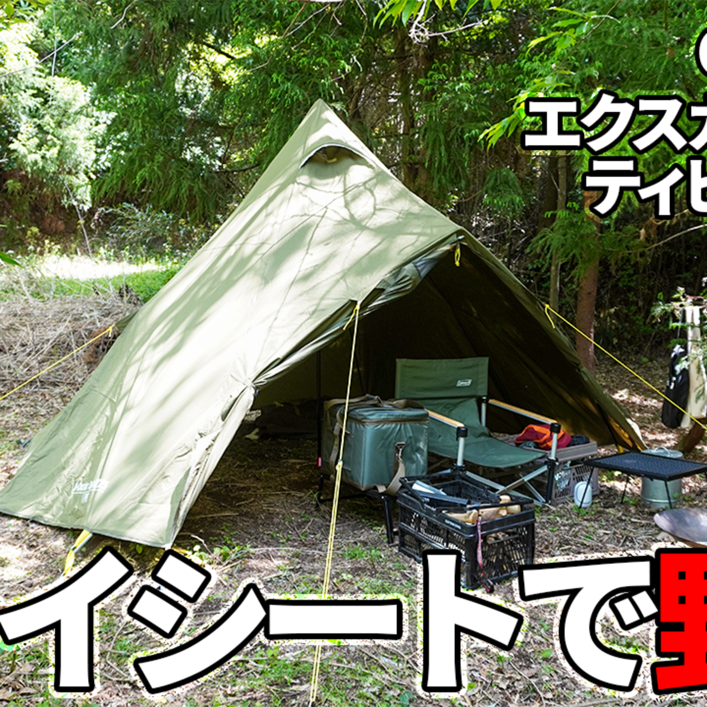 540【キャンプ】家の山で、コールマン(Coleman) テント エクスカーションティピーII325のフライシートだけ張り、野営キャンプする