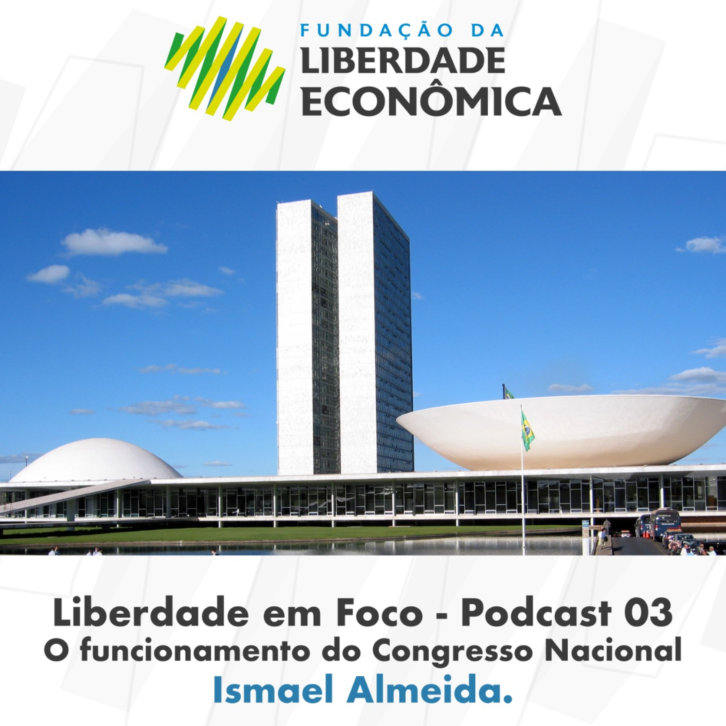 Liberdade em foco