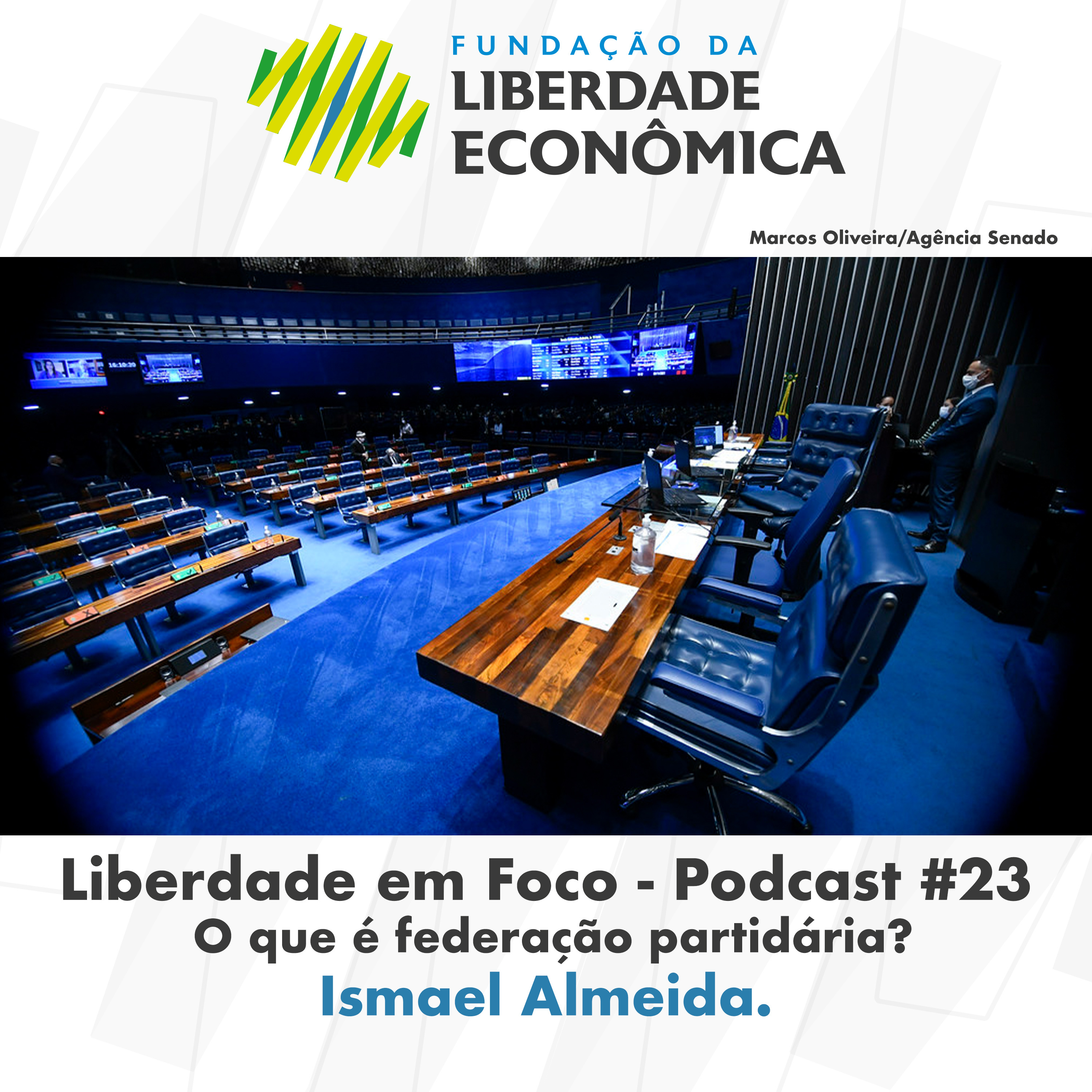 Liberdade em foco