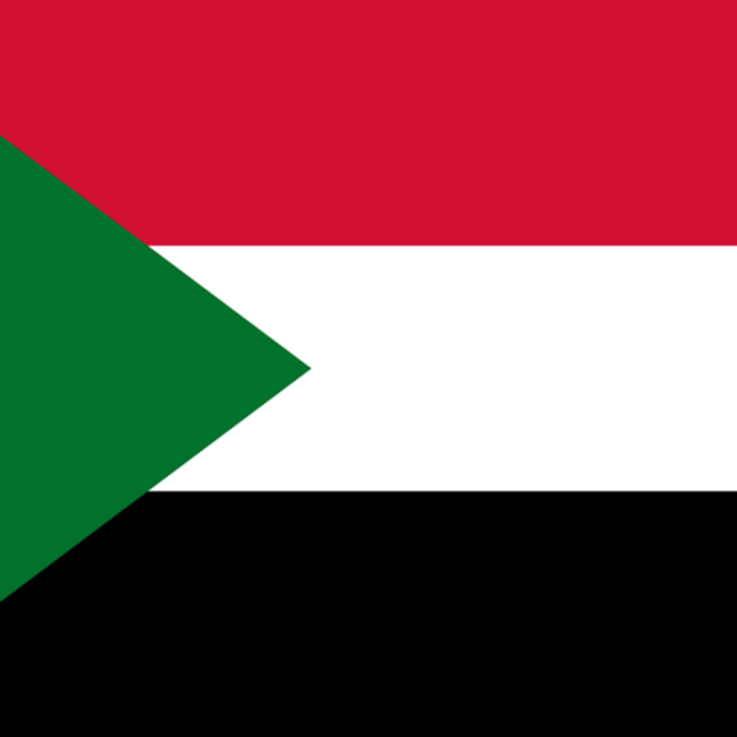 Darfur genocide