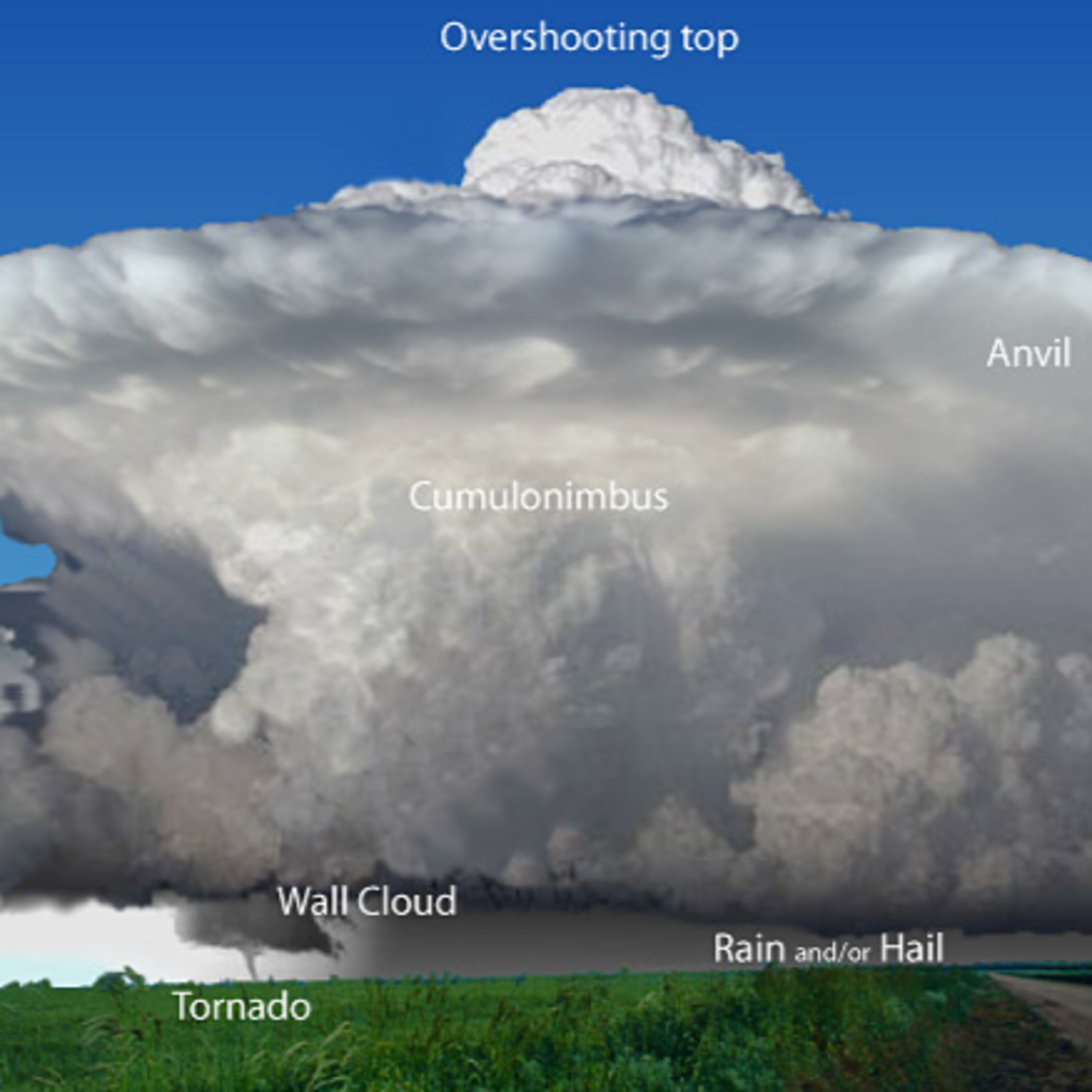 Carolina Weather Group
