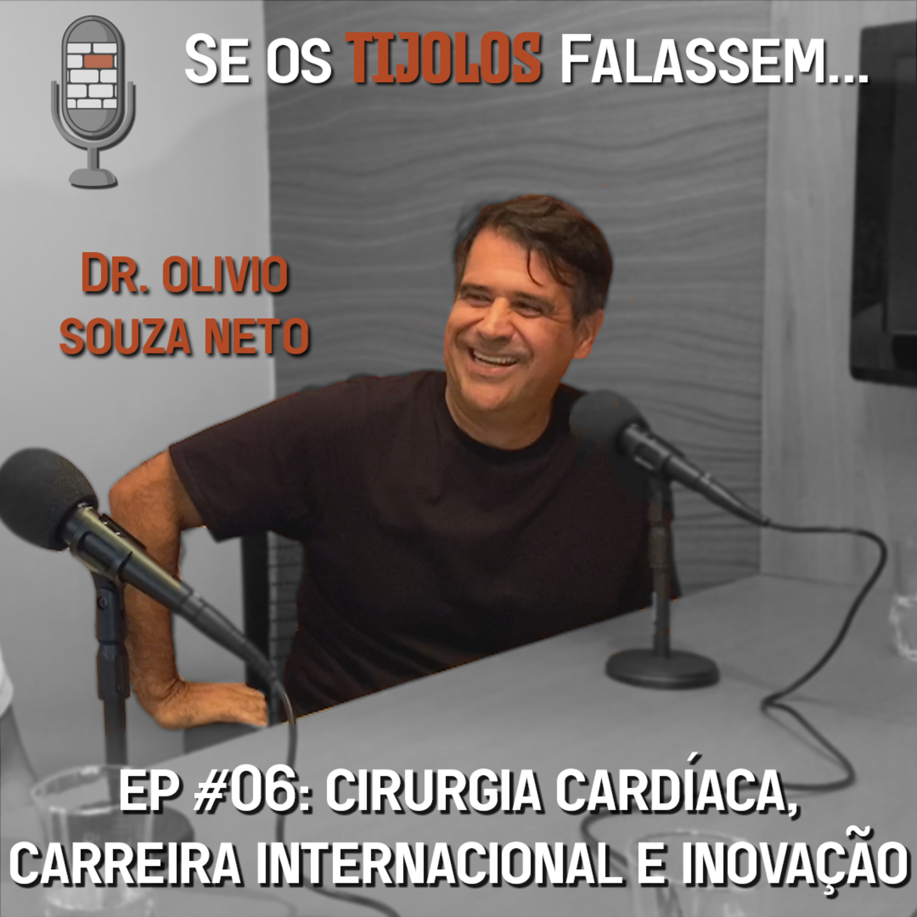 Se os Tijolos Falassem