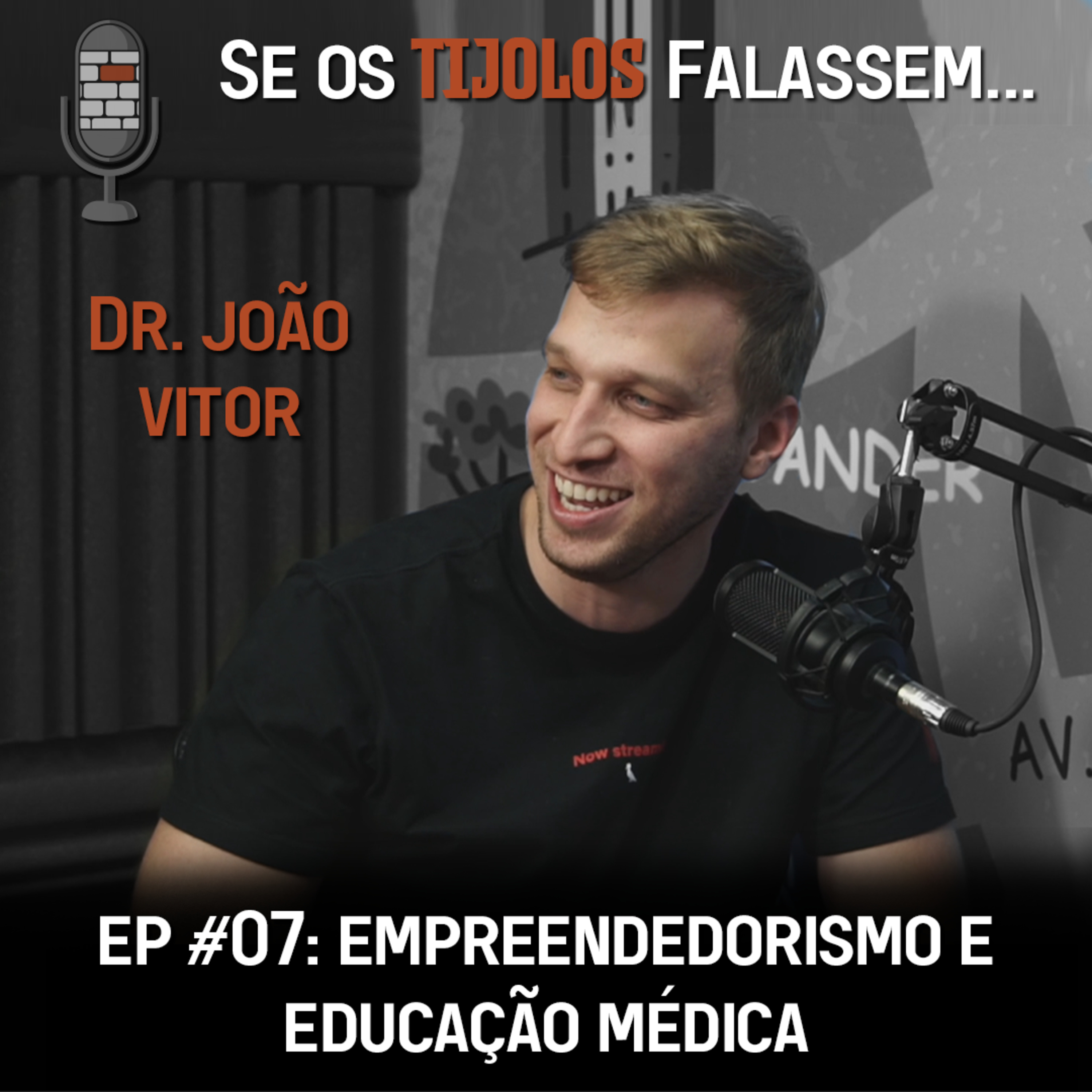 Se os Tijolos Falassem