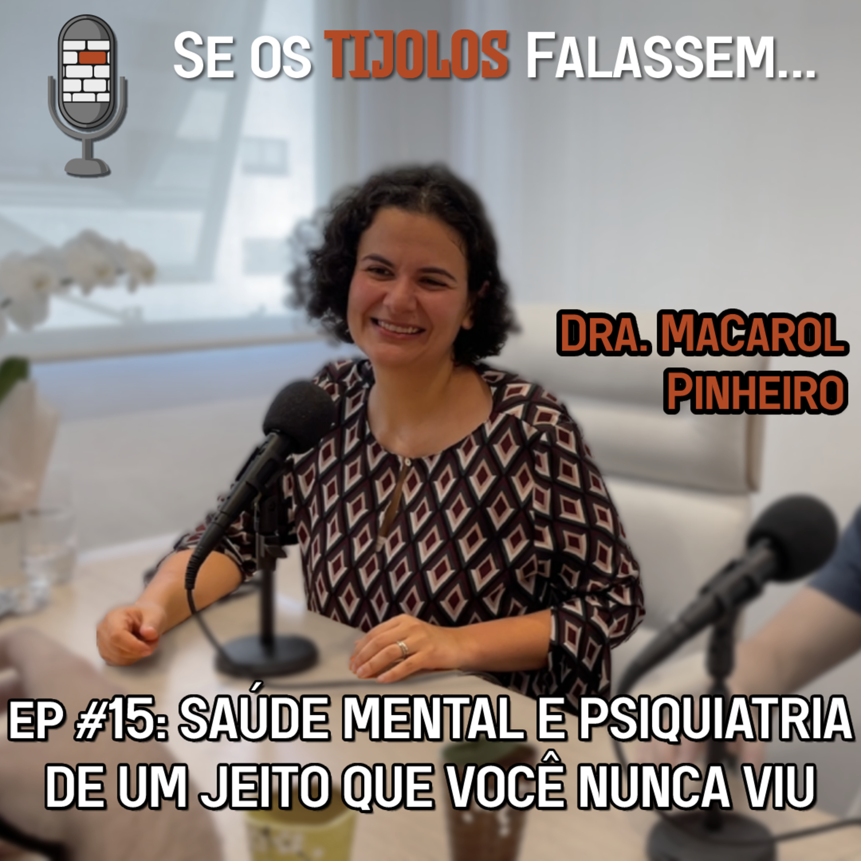 Se os Tijolos Falassem