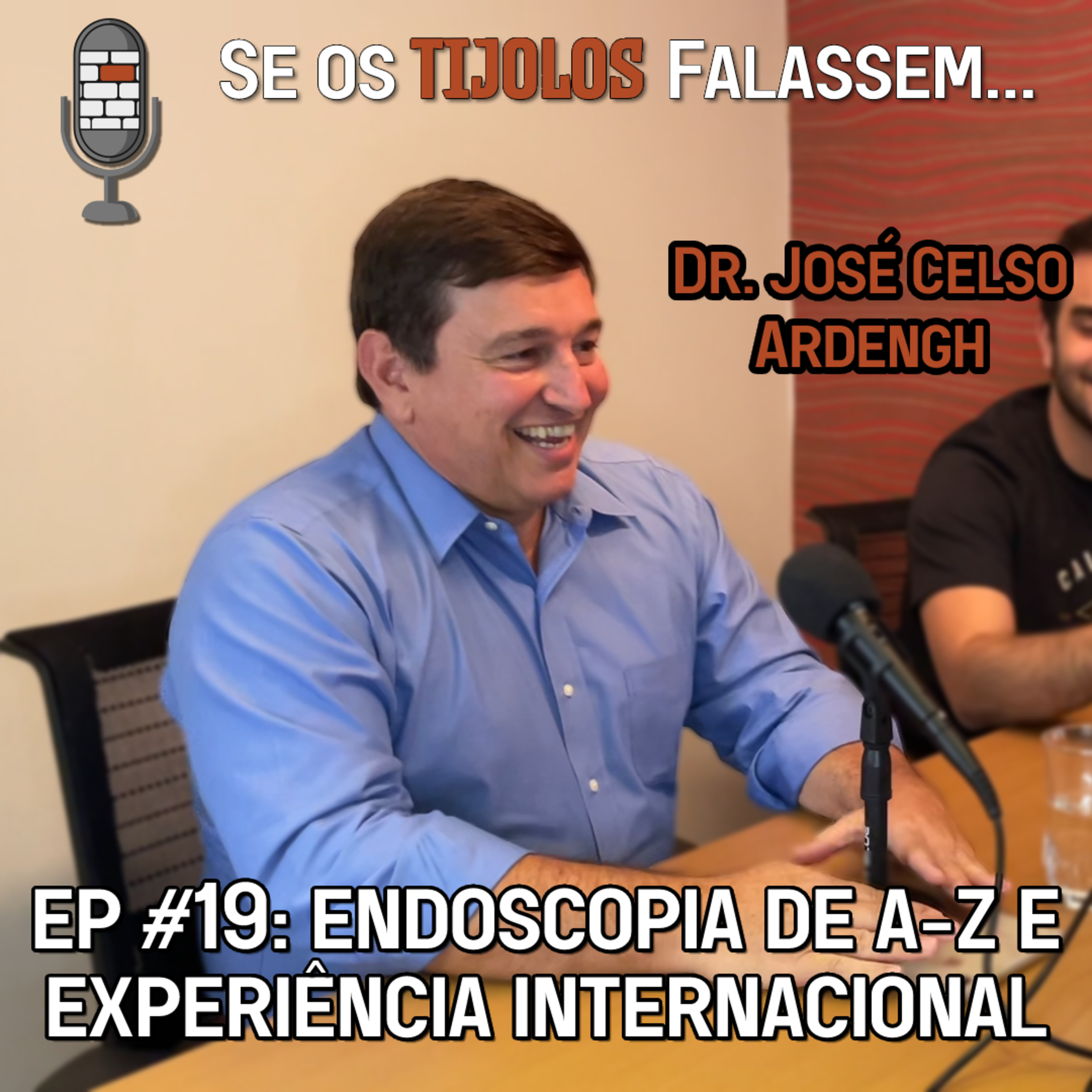 Se os Tijolos Falassem