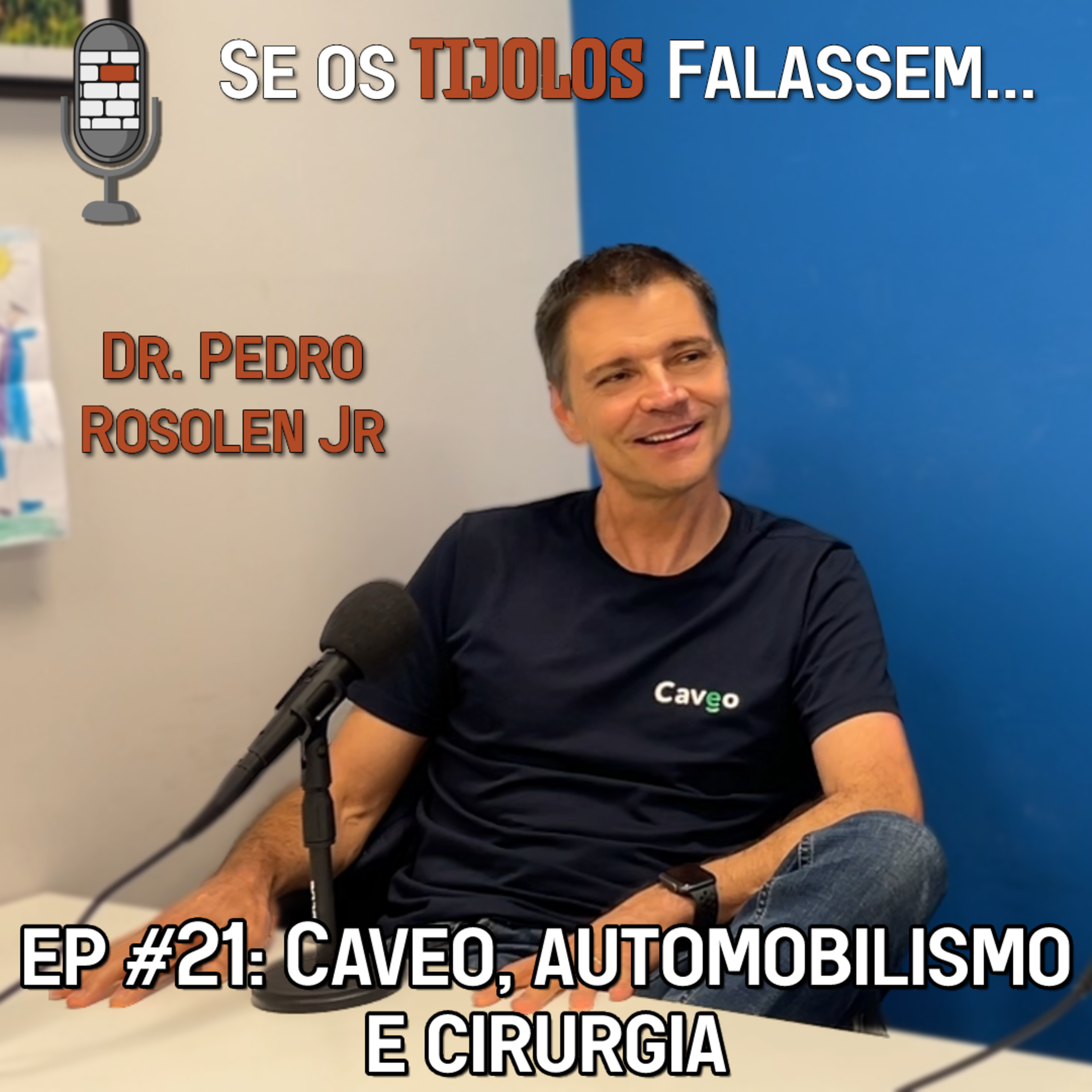 Se os Tijolos Falassem