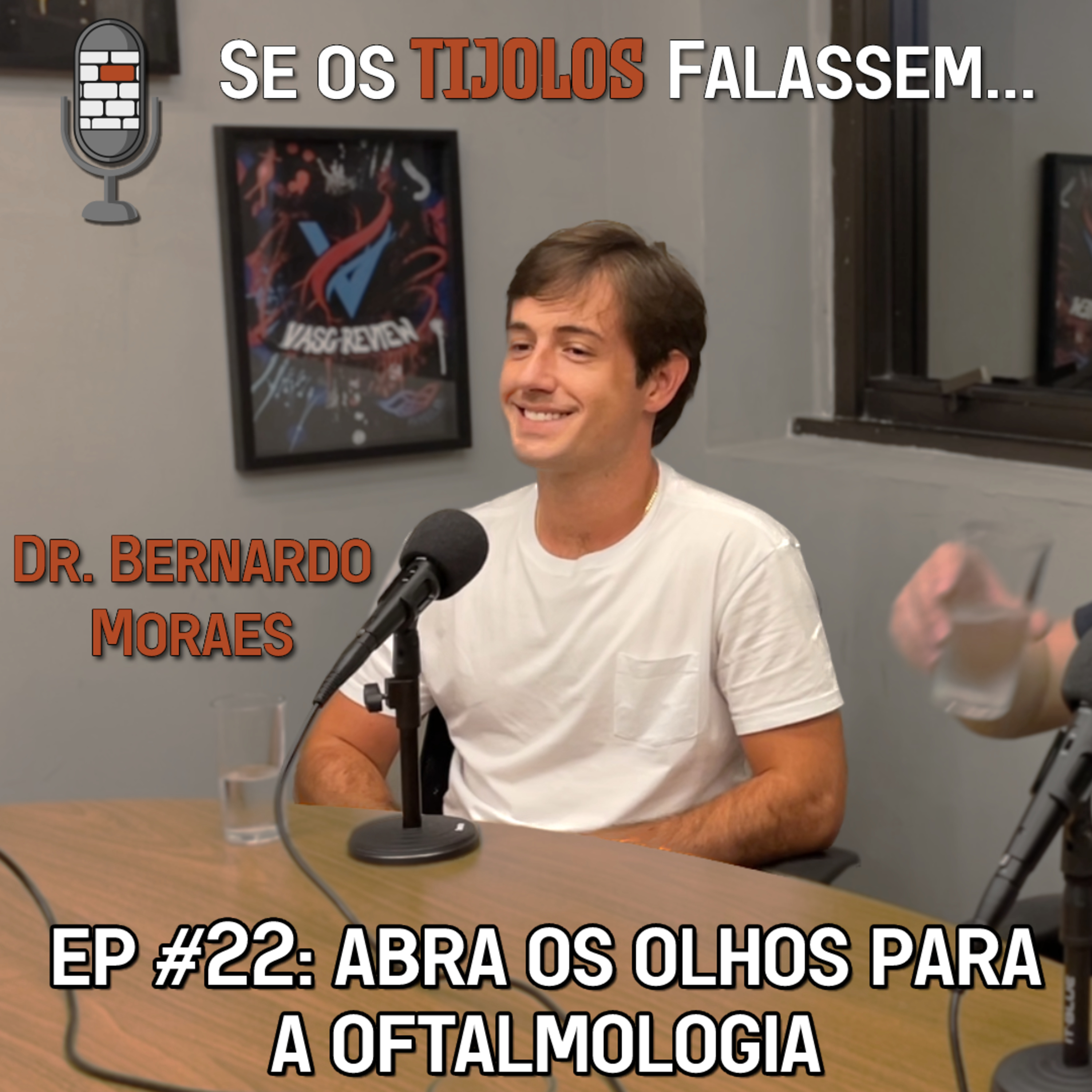 Se os Tijolos Falassem