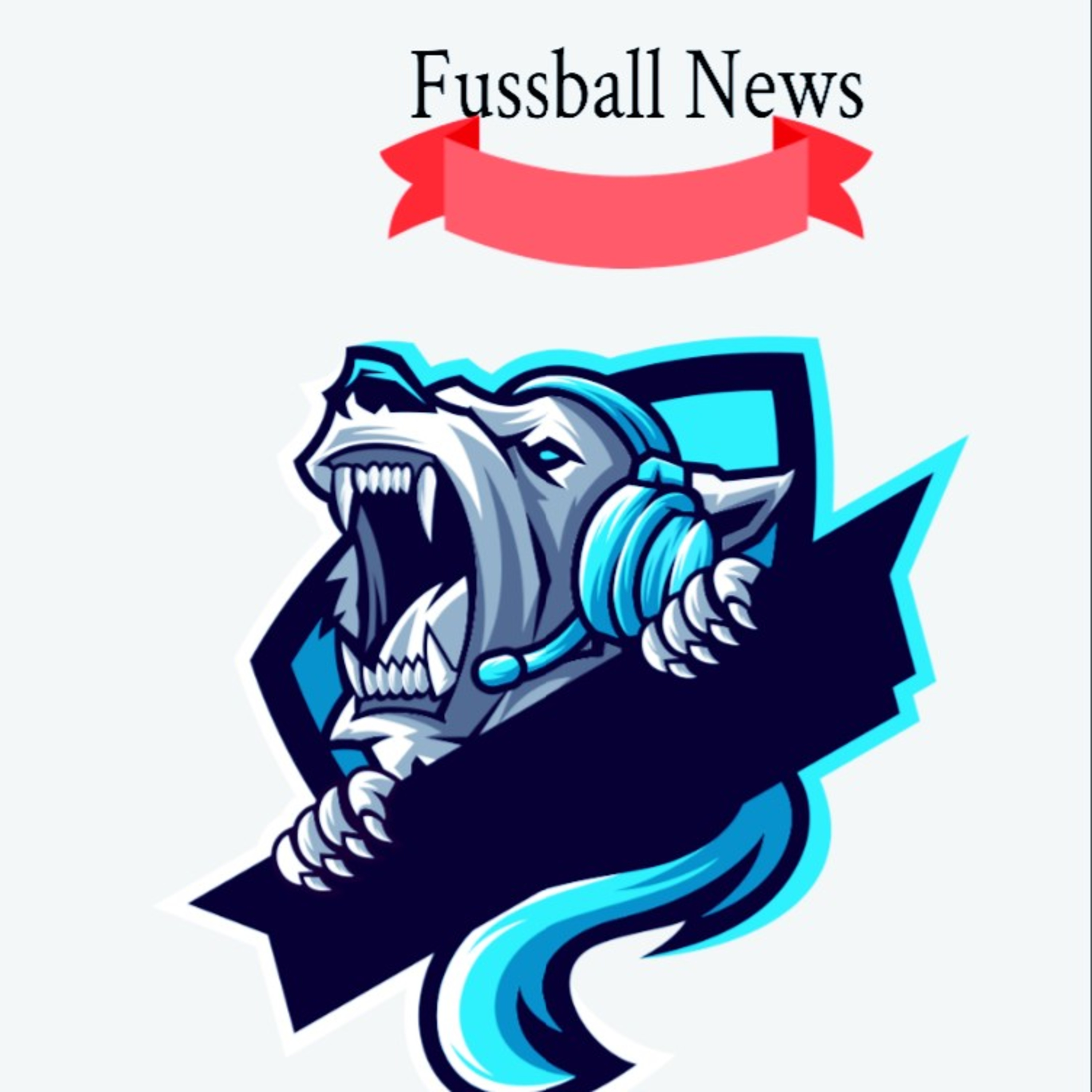 Fussball News