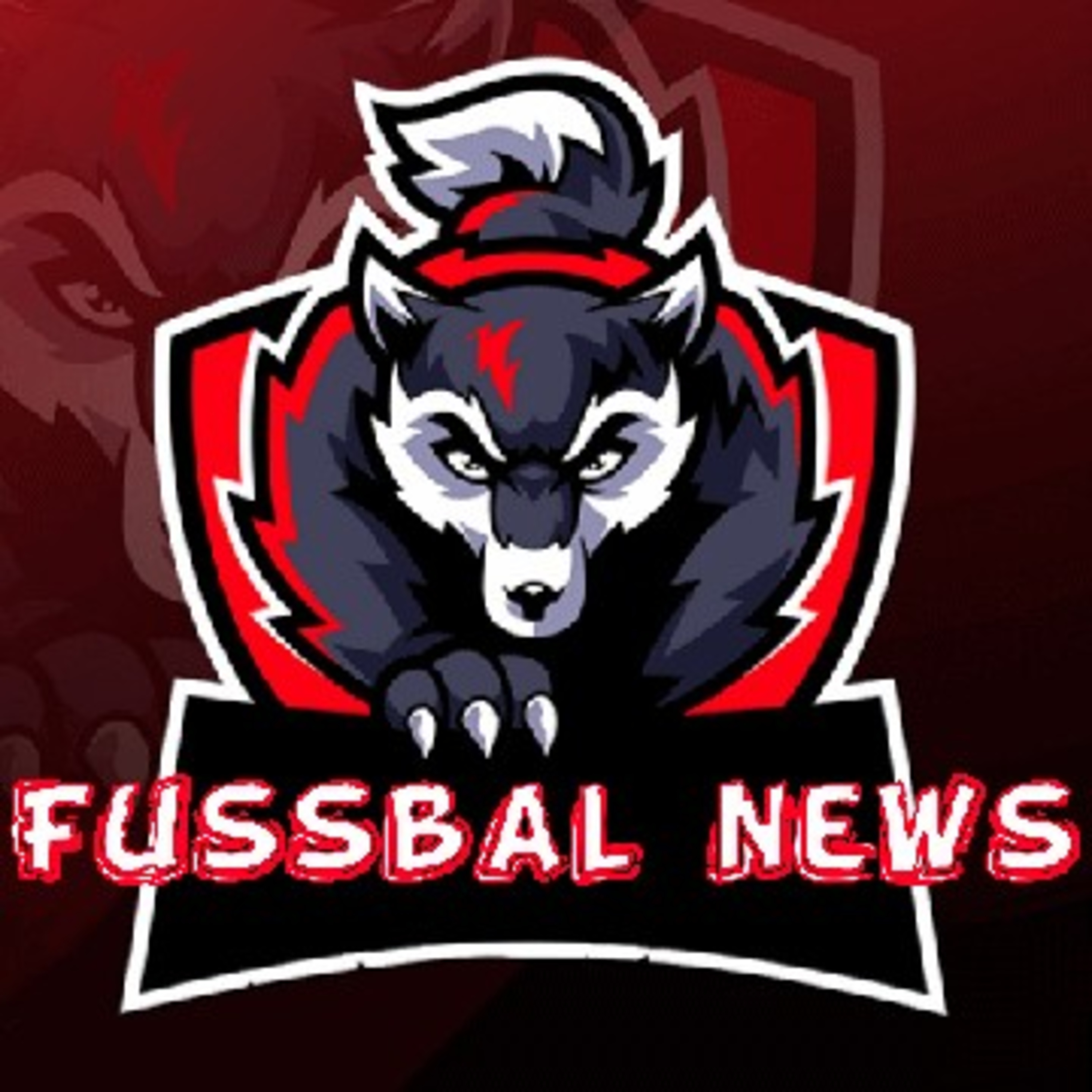 Fussball News