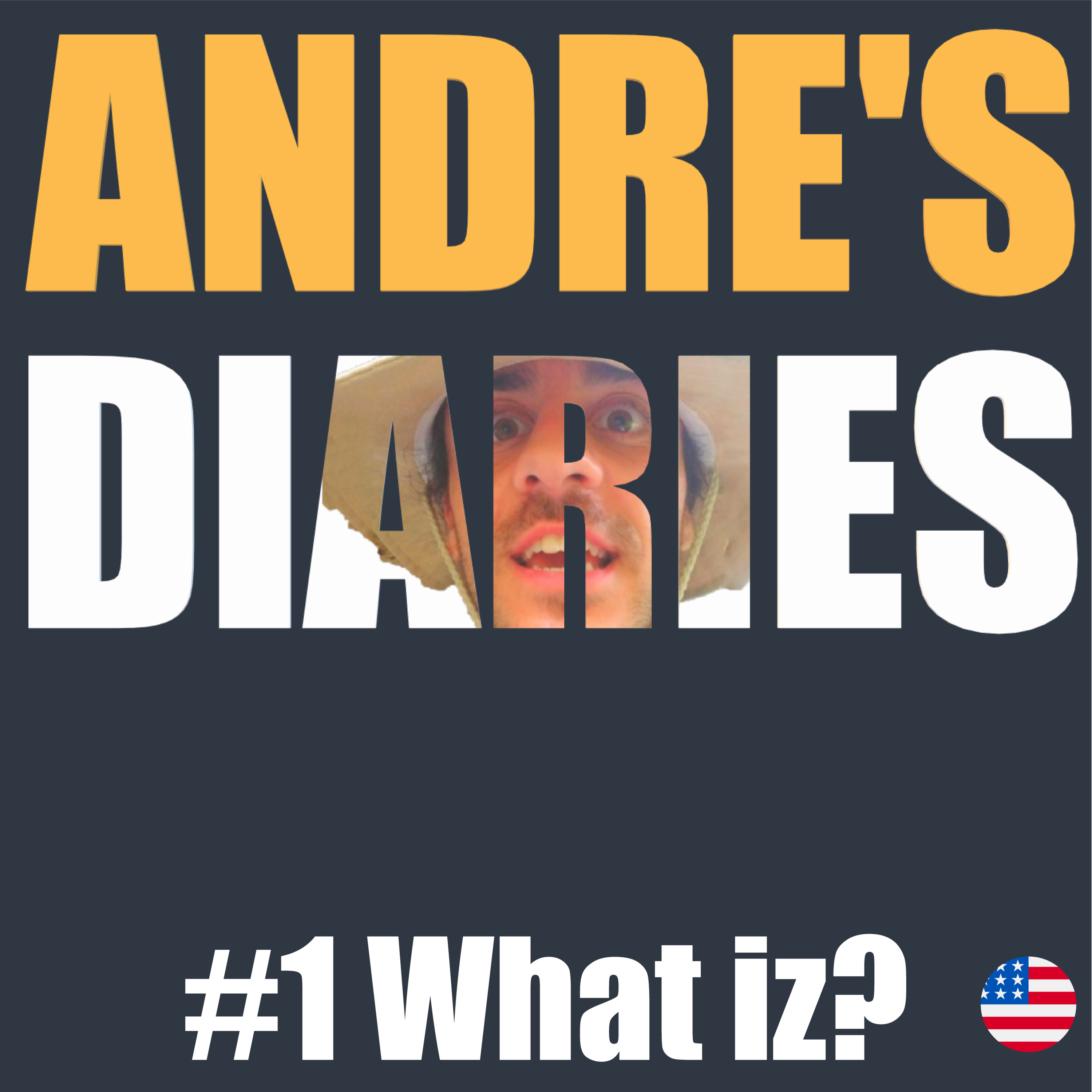 Andre\'s Diaries