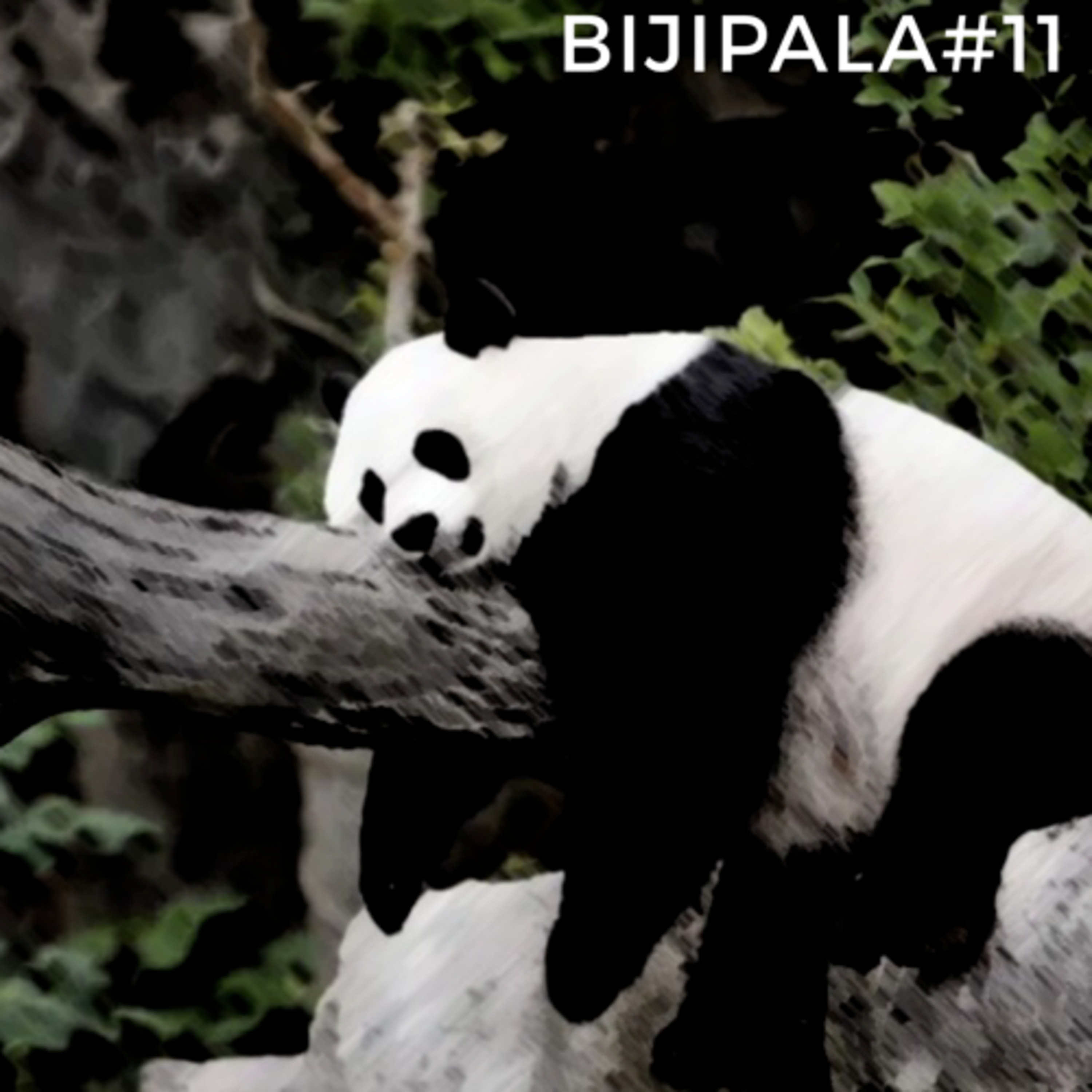 BIJIPALA Podcast