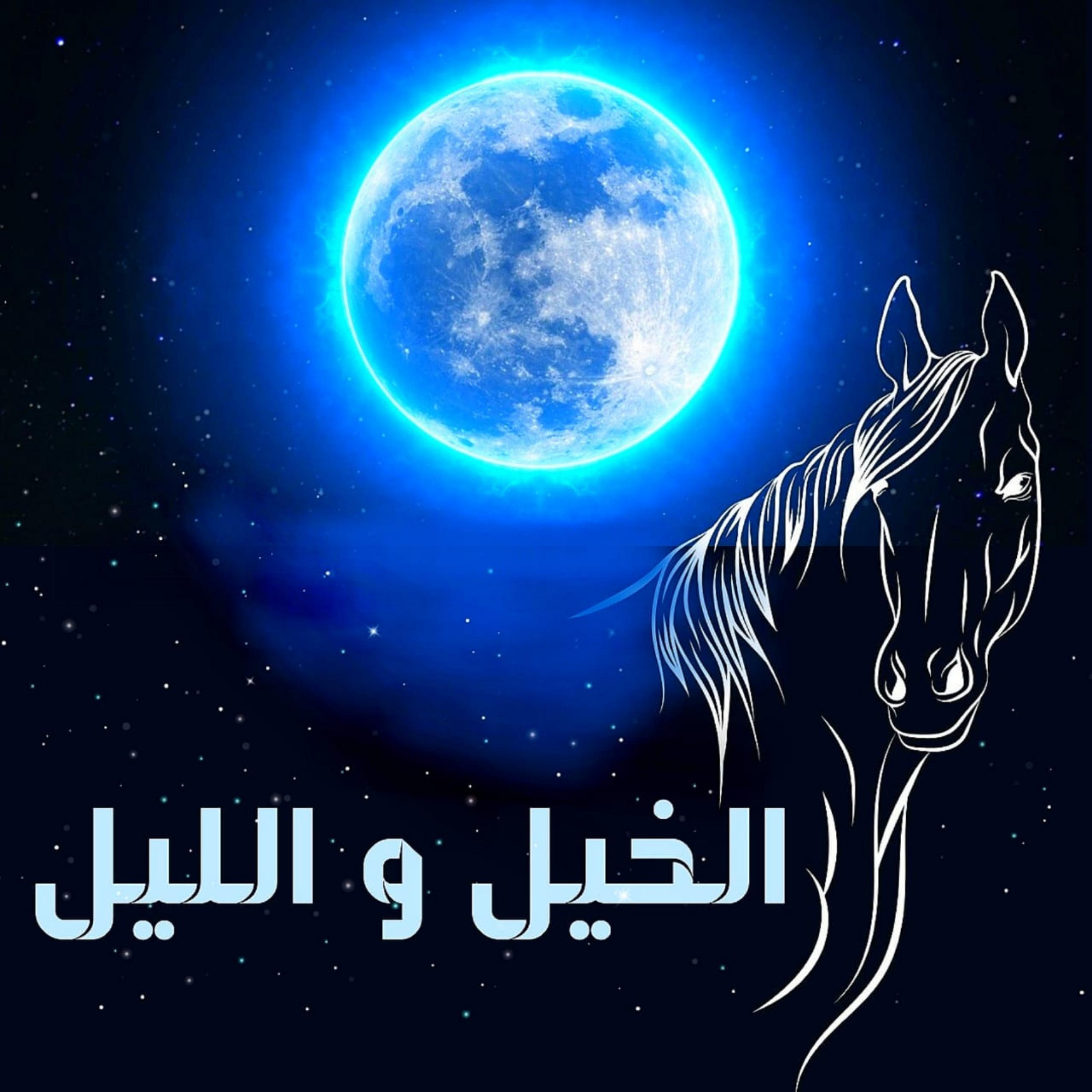 الخيل و الليل episode artwork