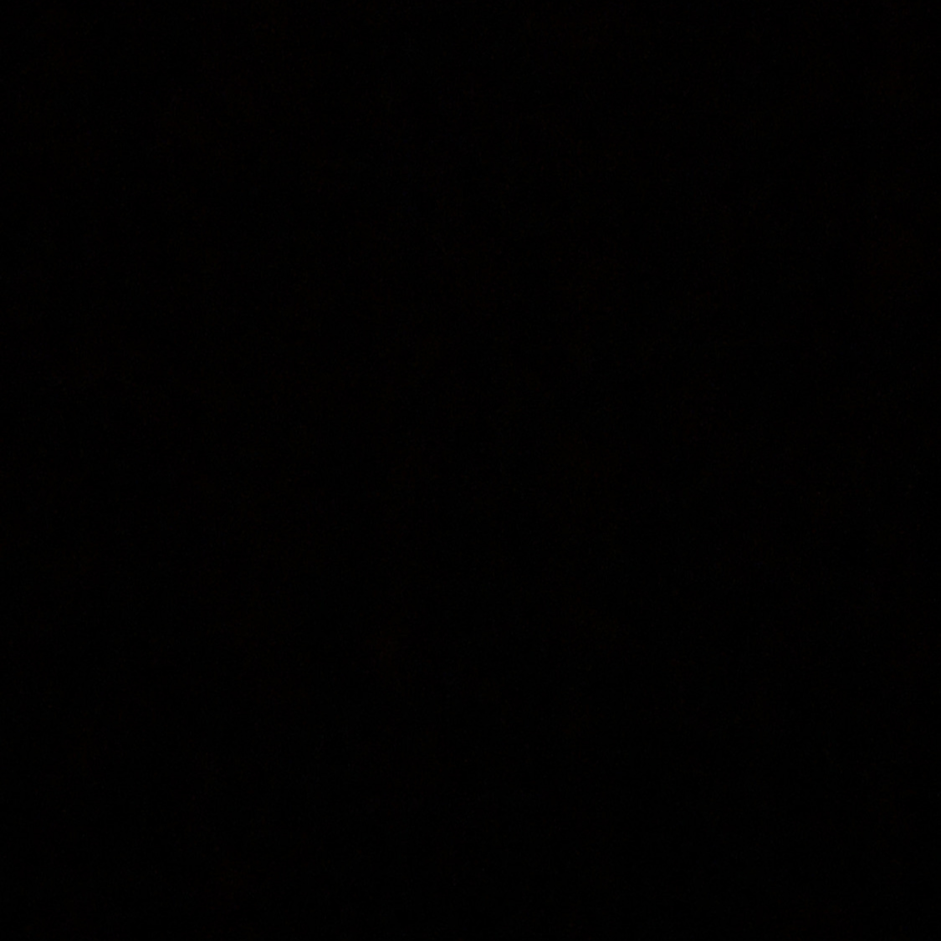 Vol. 20 一場BlackLivesMatter社運如何撕開時裝品牌的假面