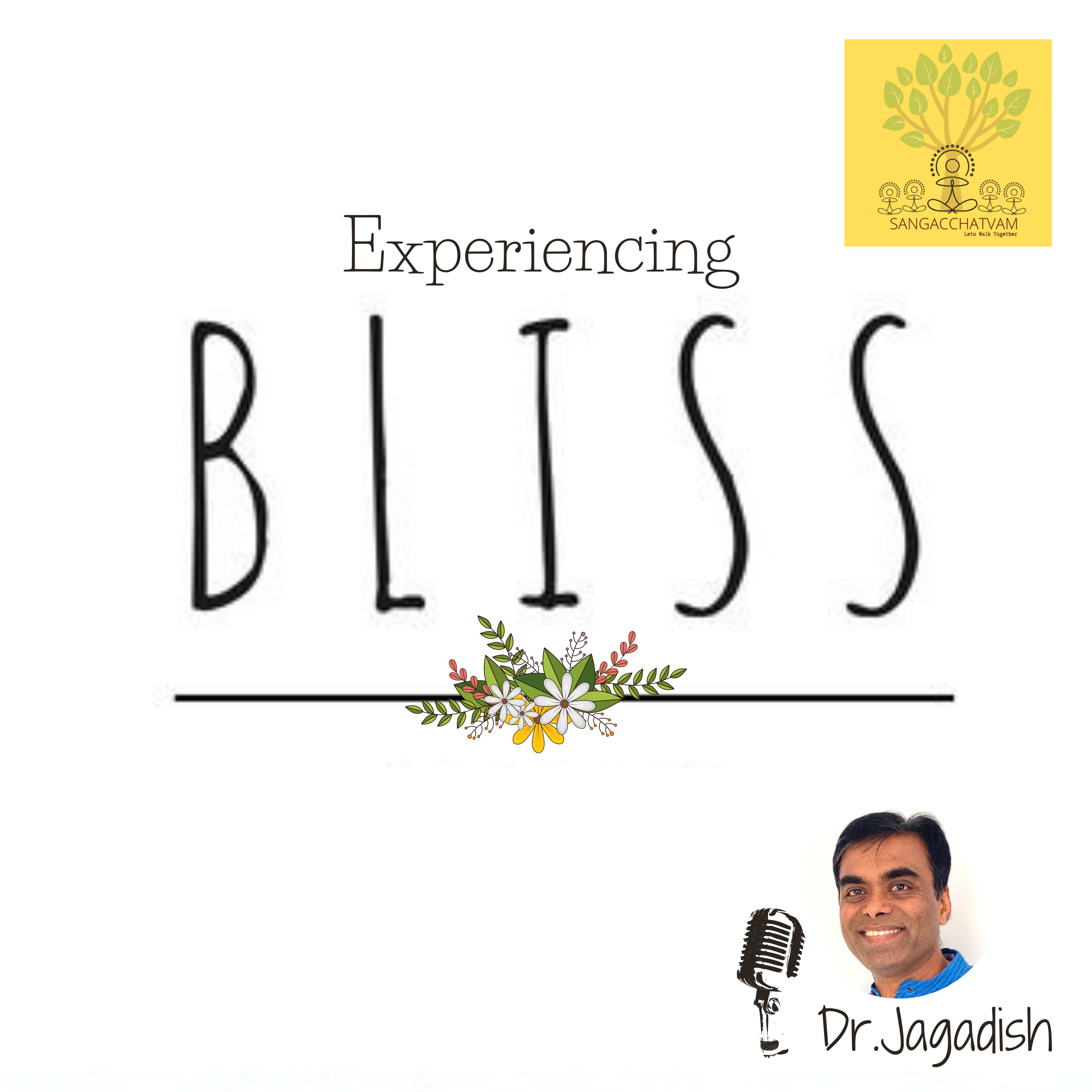 Experiencing Bliss episode artwork