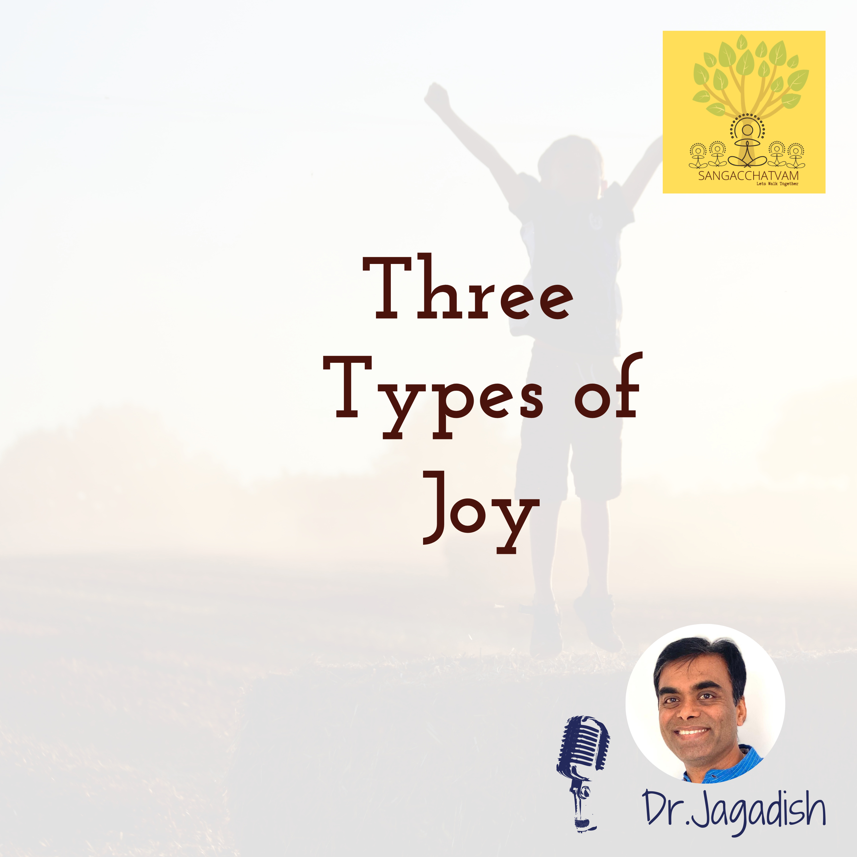 Three Types of Joy episode artwork