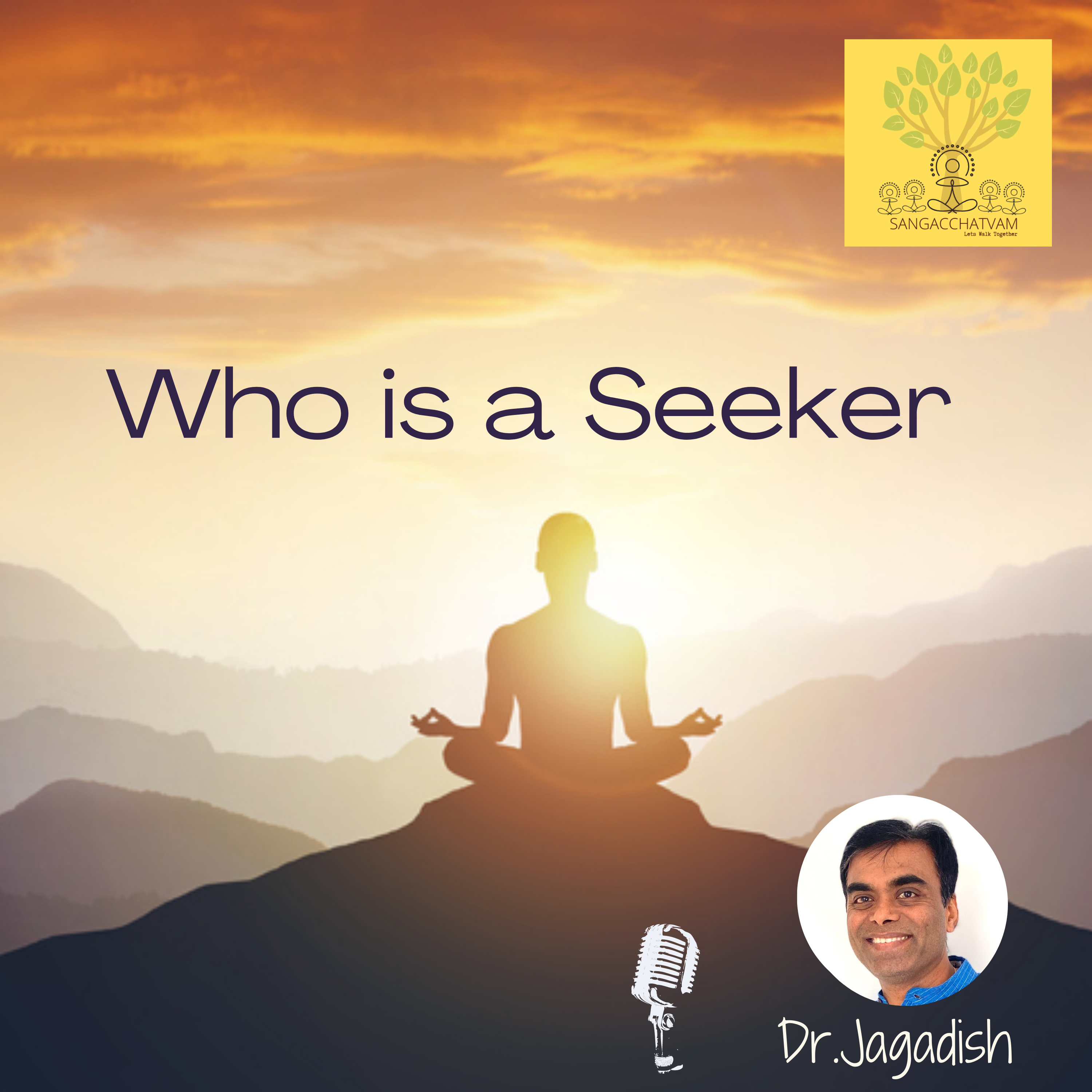 Who is a Seeker episode artwork