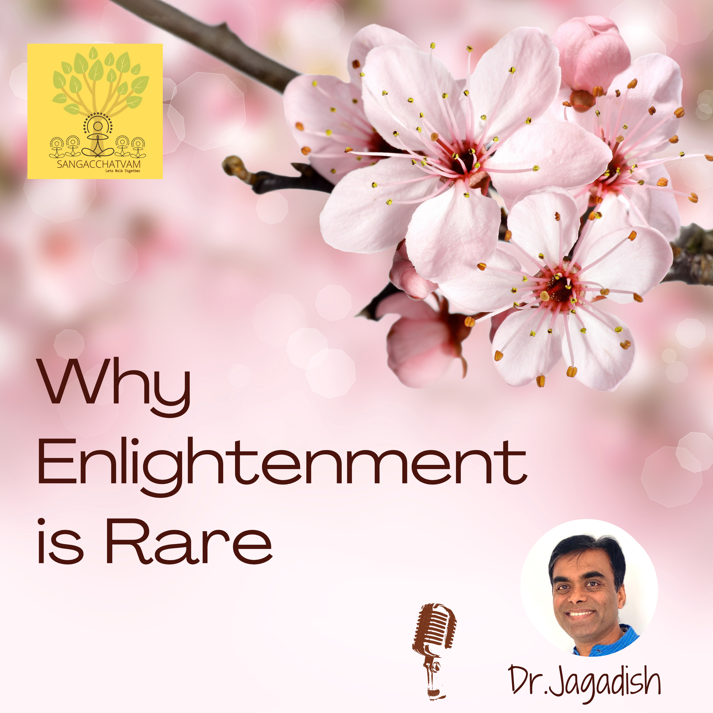 Why Enlightenment is Rare episode artwork