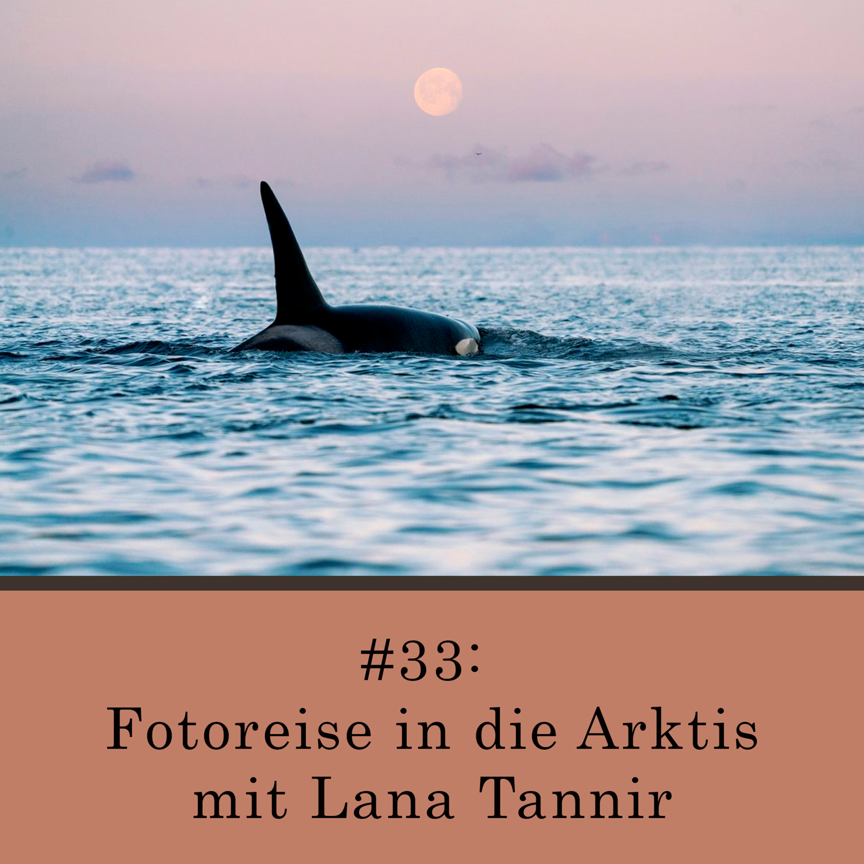 Fotoreise in die Arktis - mit Lana Tannir episode artwork