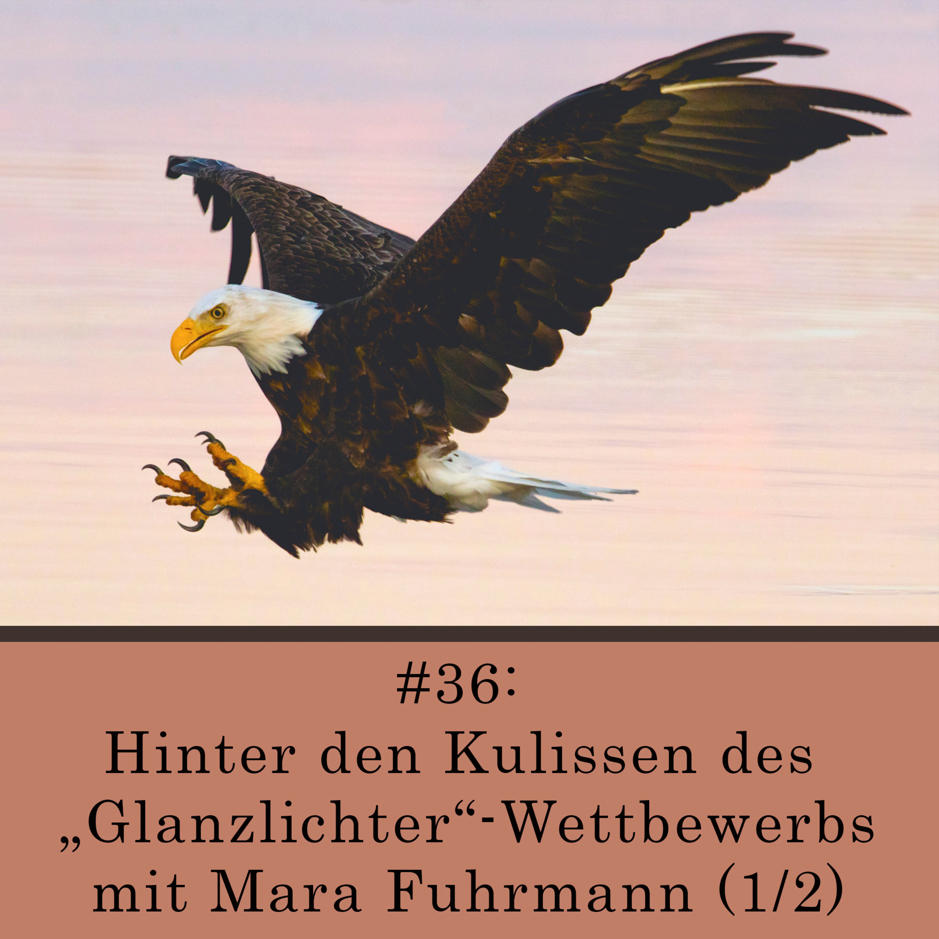 Hinter den Kulissen des Glanzlichter-Wettbewerbs mit Mara Fuhrmann (1/2) episode artwork