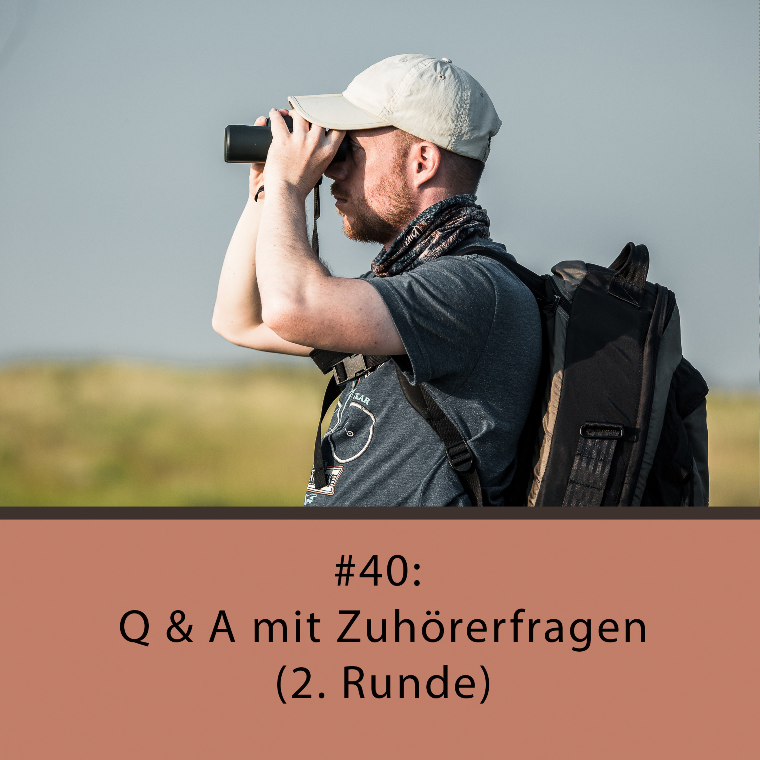 Q & A mit Zuhörerfragen (2. Runde) episode artwork